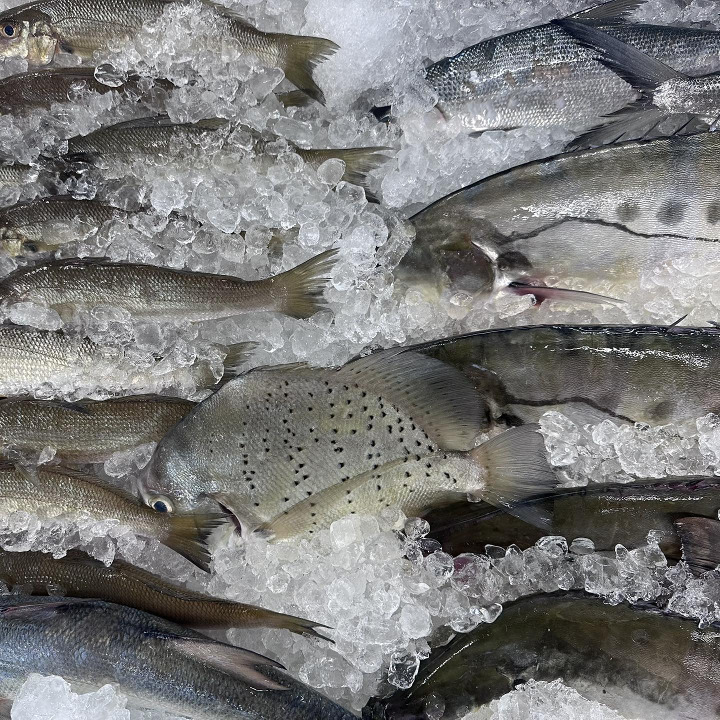 Debbie's Seafood & Deb's Fish Cafe - On the third day of Christmas, my ...