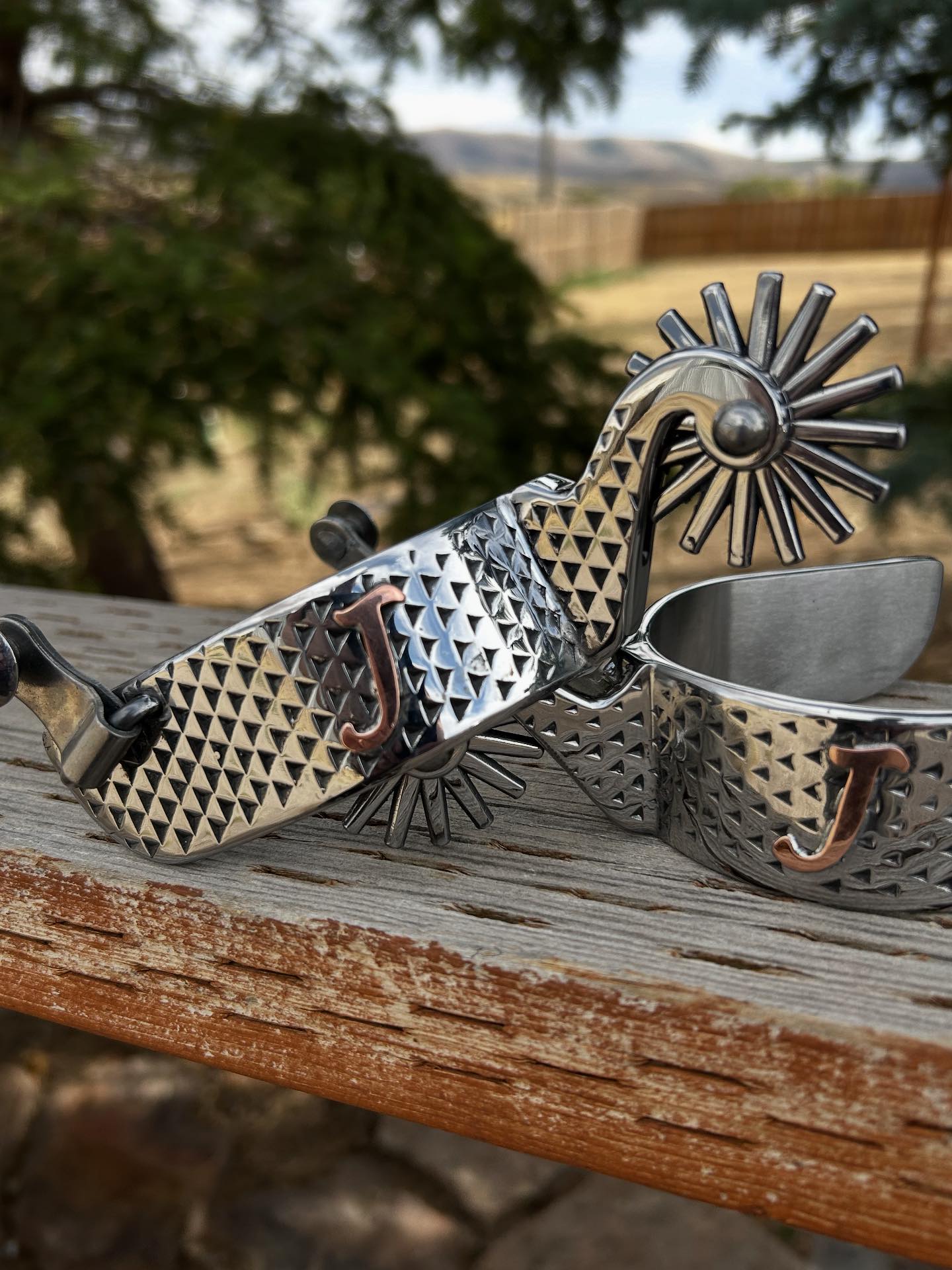 Rasp spurs bits and buckles... - Rasp spurs bits and buckles