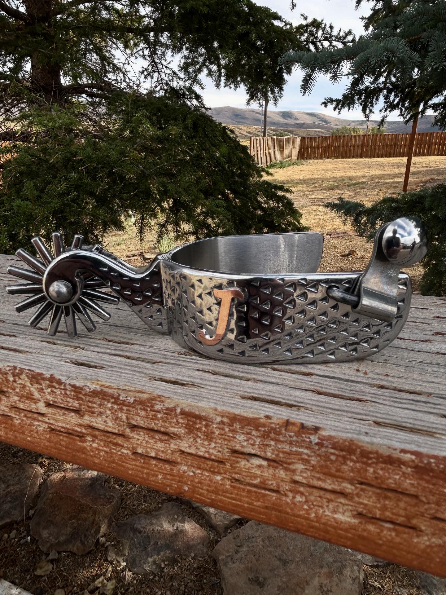 Rasp spurs bits and buckles | West Jordan UT