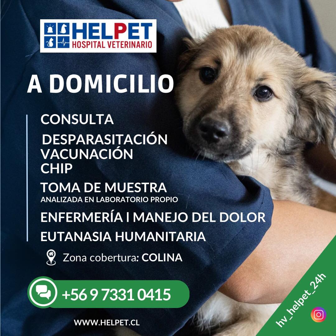 Helpet - Nuestros profesionales que se desempeñan en HELPET Hospital ...