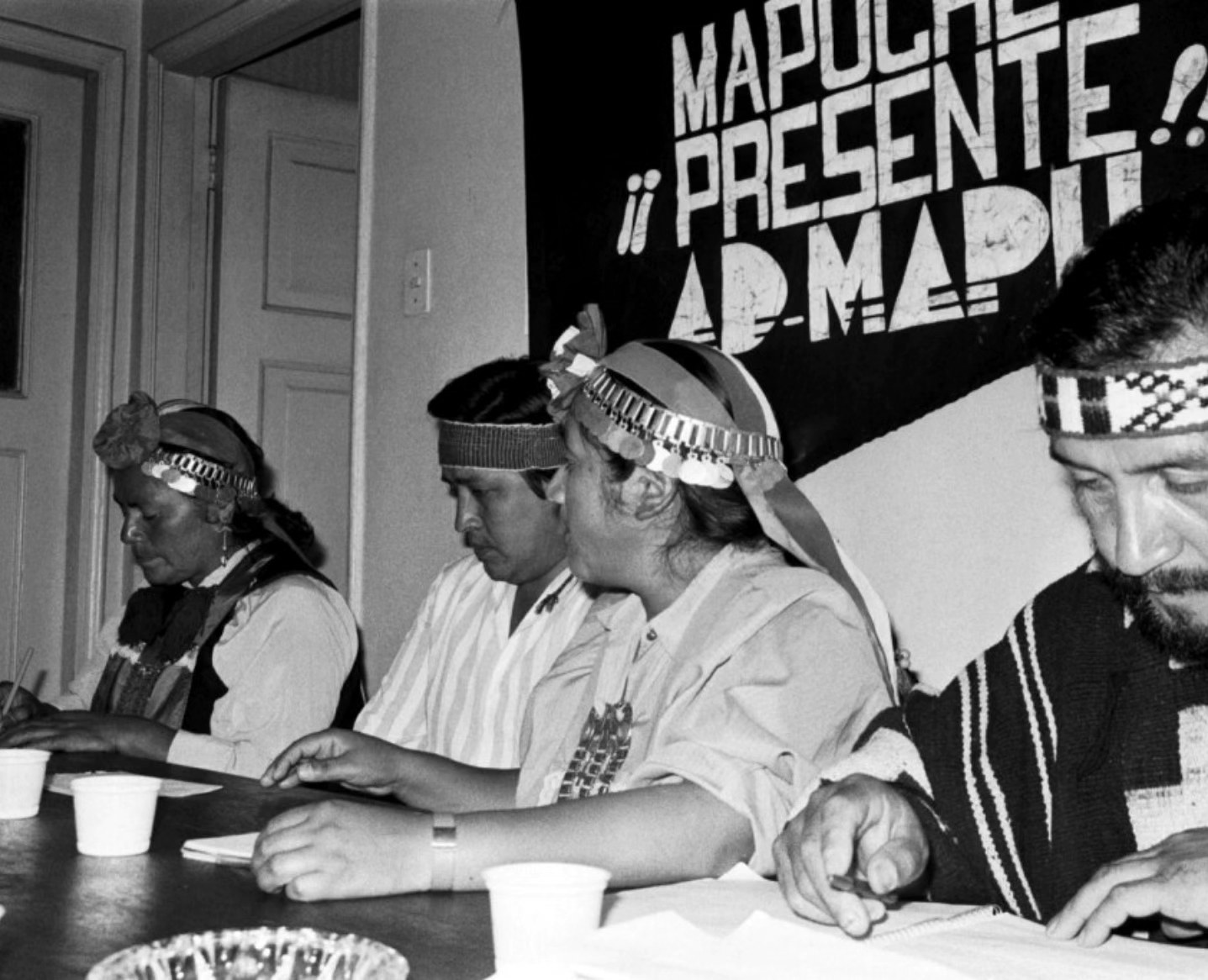 🌿 Admapu: Historia y Legado Mapuche 📌... - Walmapuche newen | Facebook