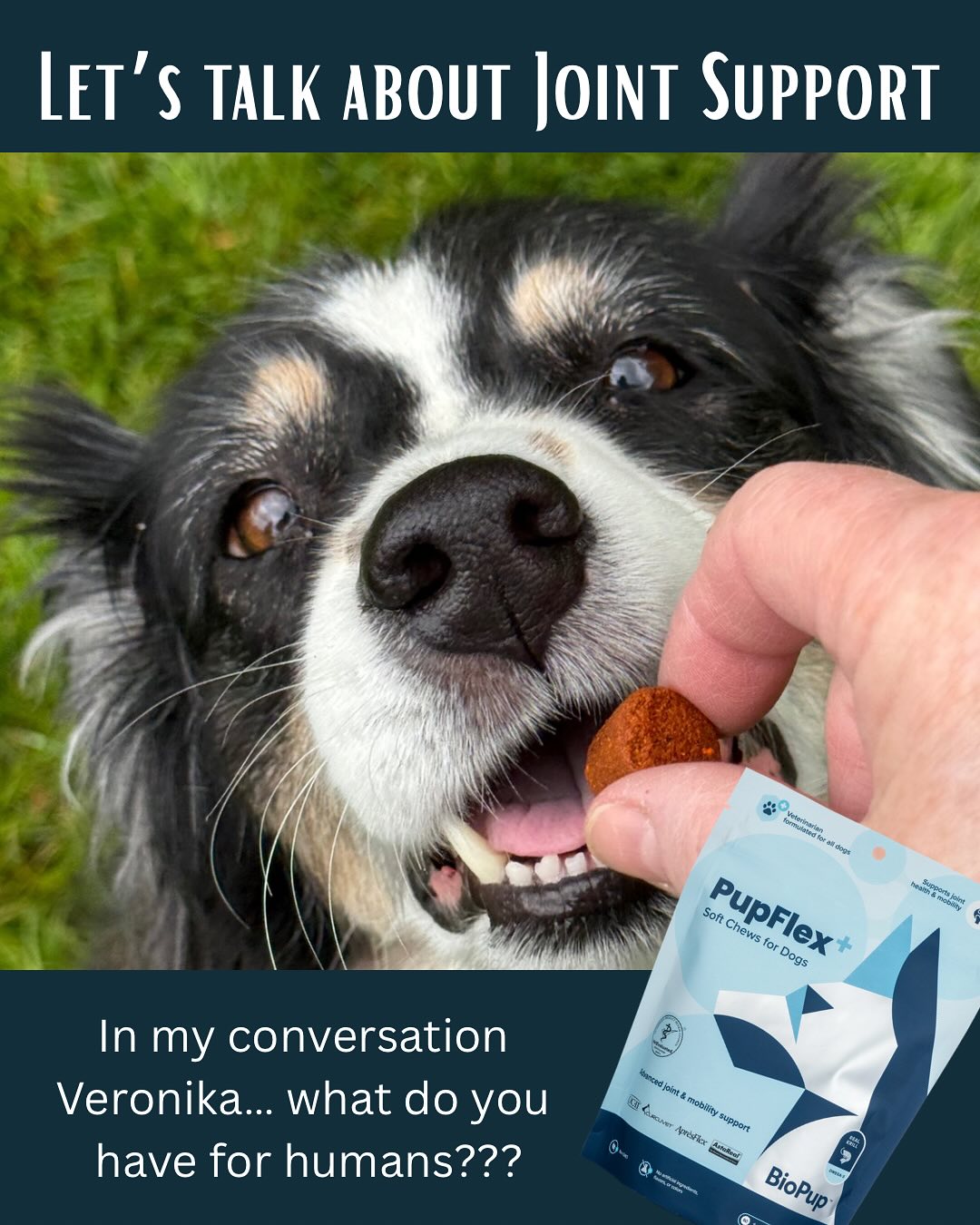 Ruff Bar Dog Snack