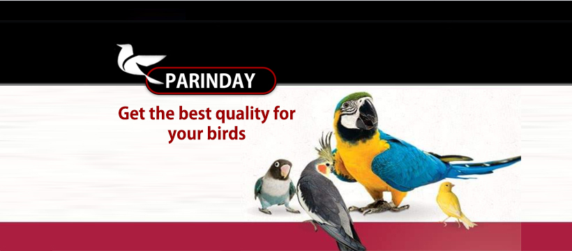 Parinday -Bird's feed, supplements and accessories | Karachi