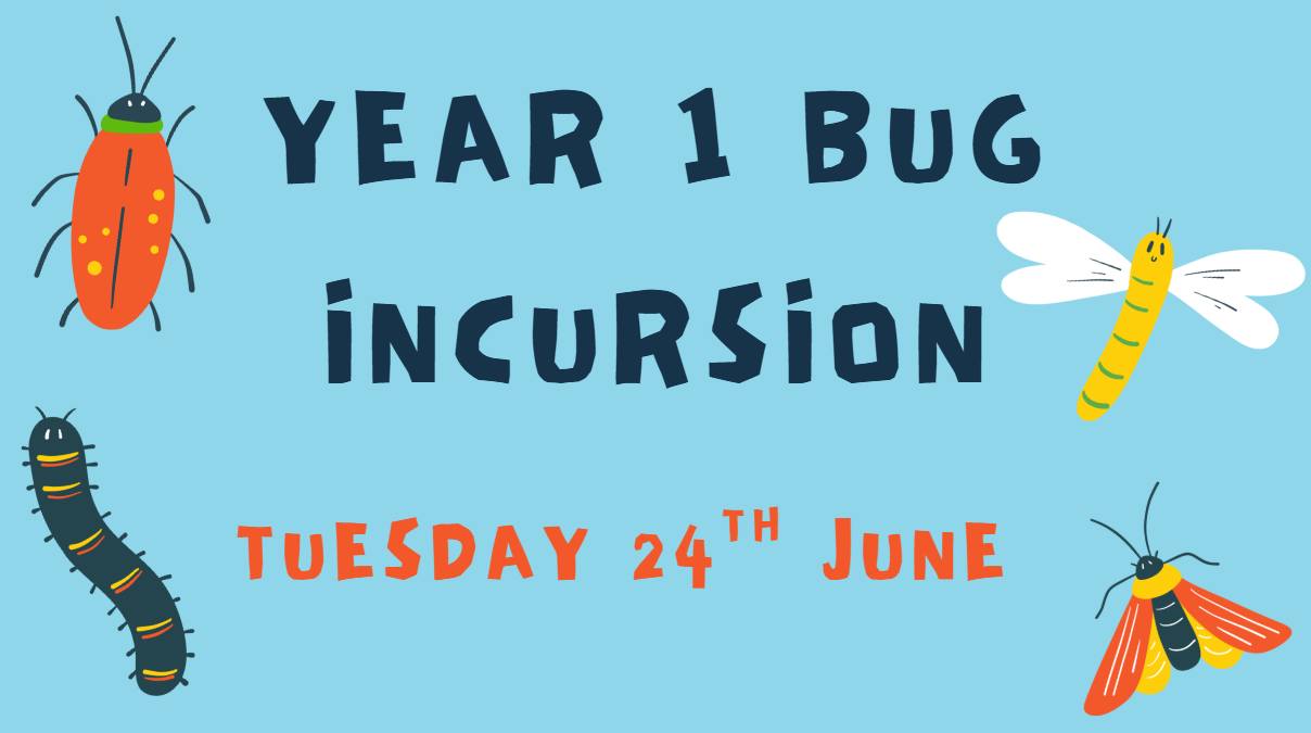 Raceview - Reminder our Year 1 Bug Incursion is next week! Tuesday 24th ...