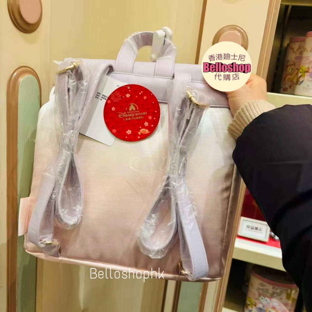 ? New Release ? SHDR - LinaBell Backpack “Duffy and Friends 