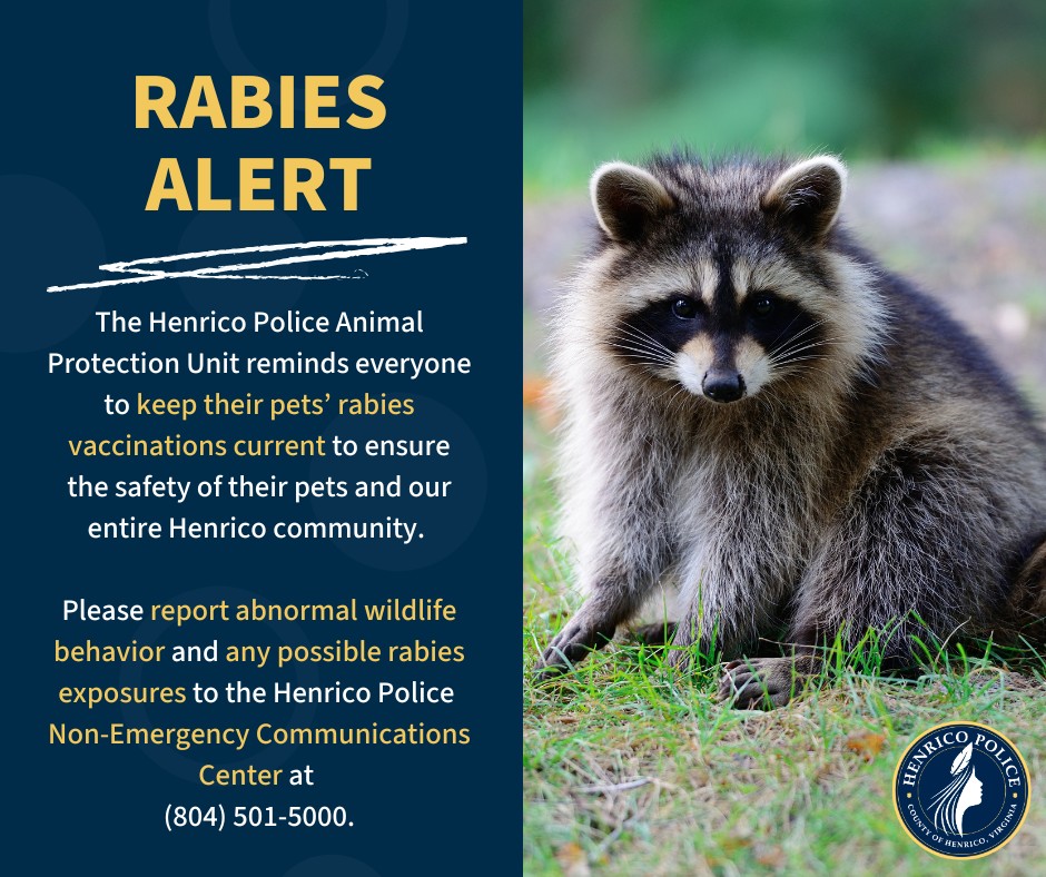 Henrico County Police Animal Shelter | Glen Allen VA