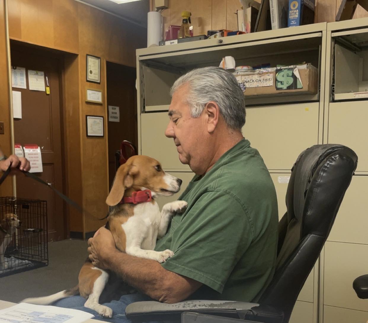 Pronto Pest Management | Oak Park MI