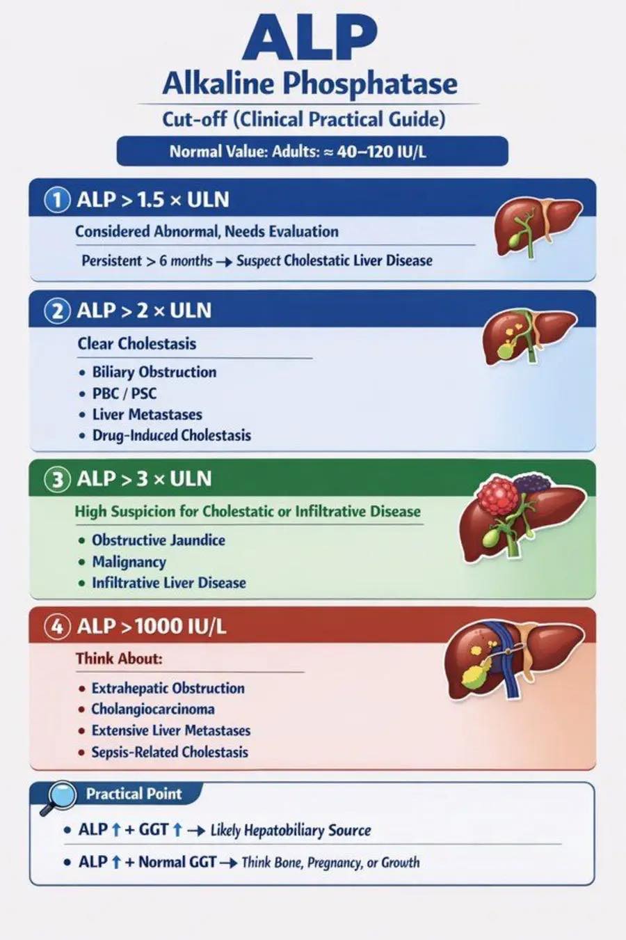 MedPic - 💡Alkaline Phosphatase | Facebook