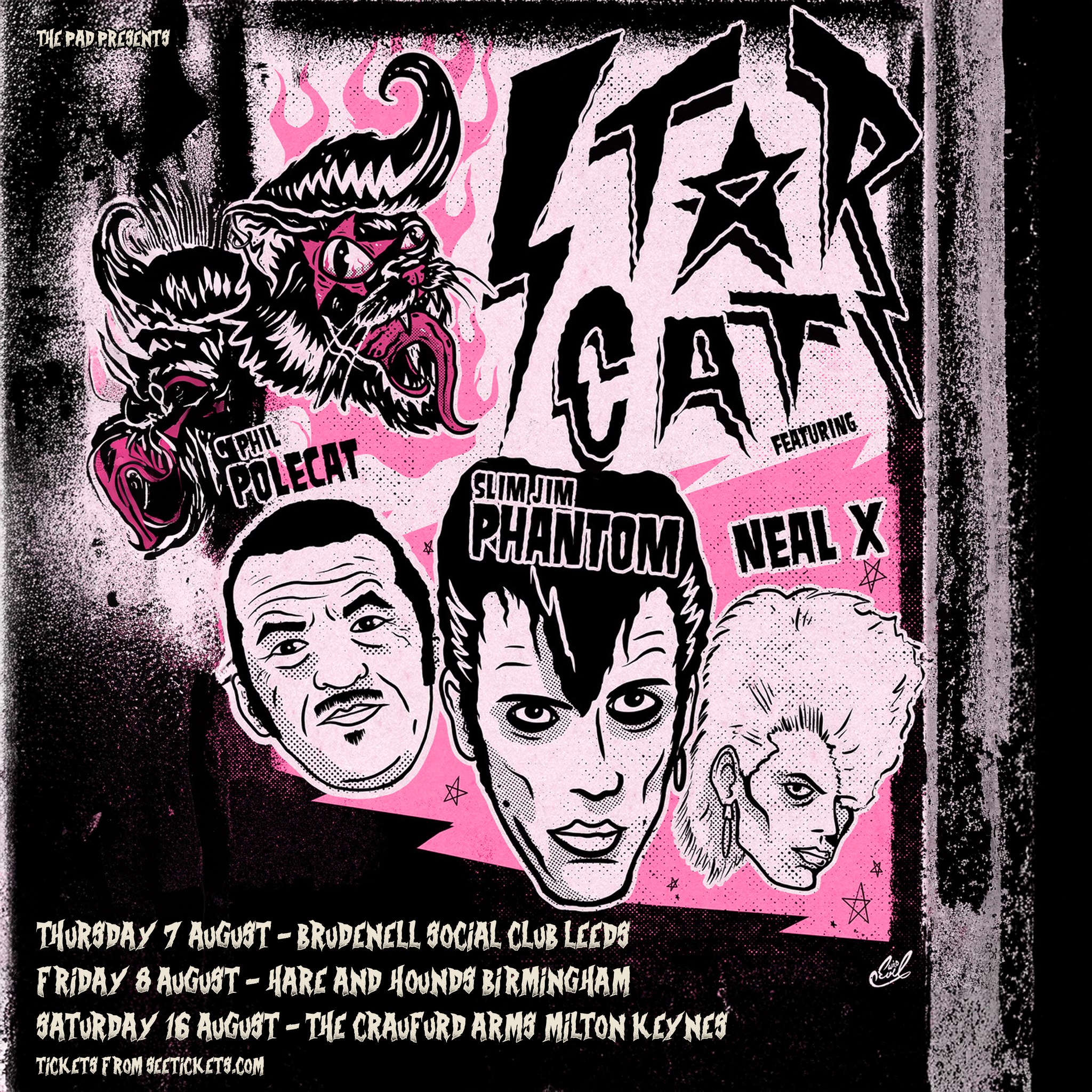 Stray Cats - Live At Montreux (1981) #rockabilly #straycats 01