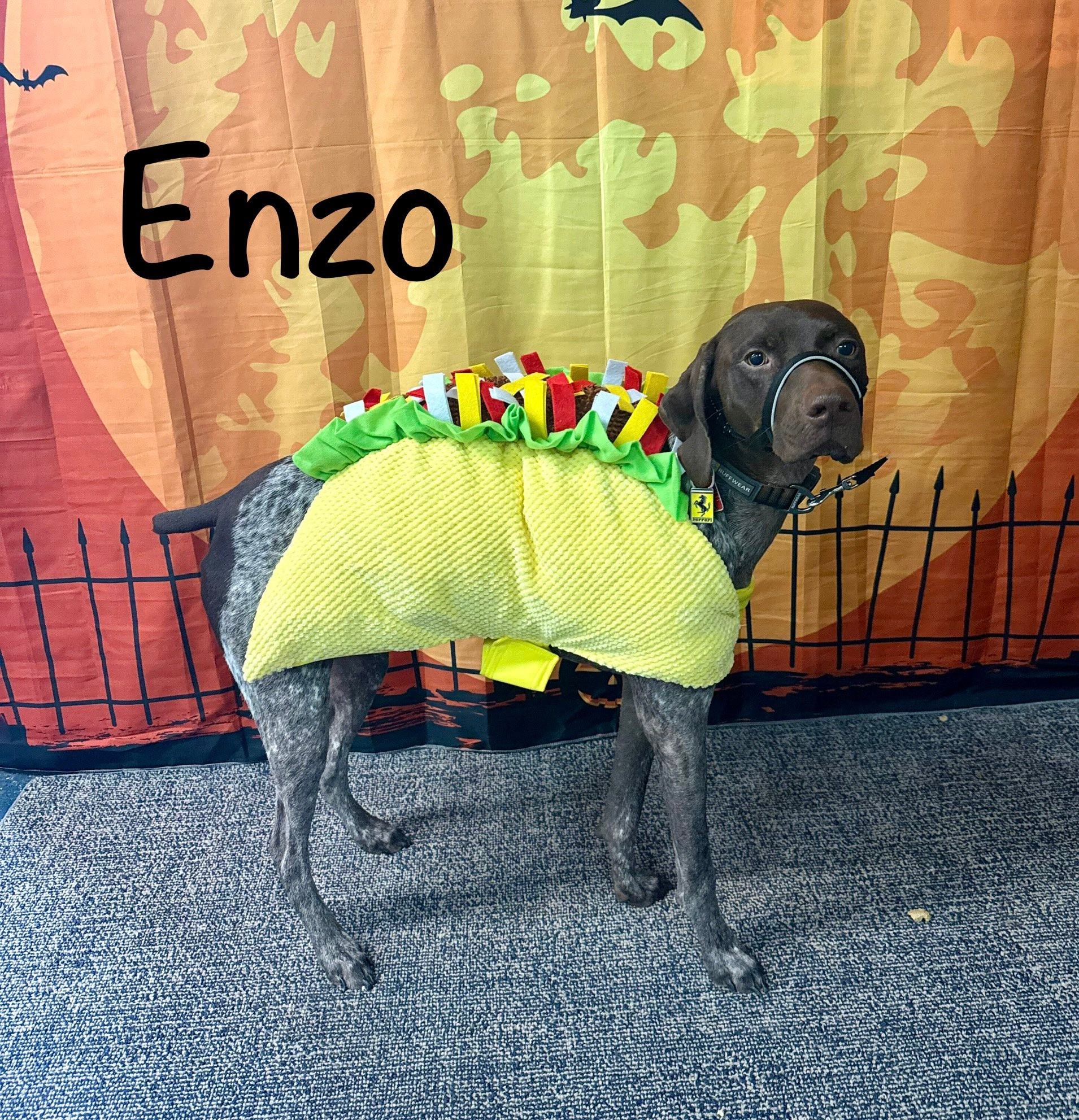 Morgan's - Enzo 🌮 | Facebook