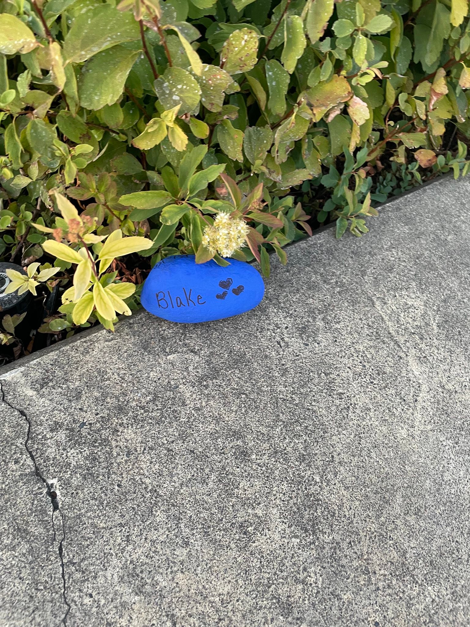 Rocks For Blake