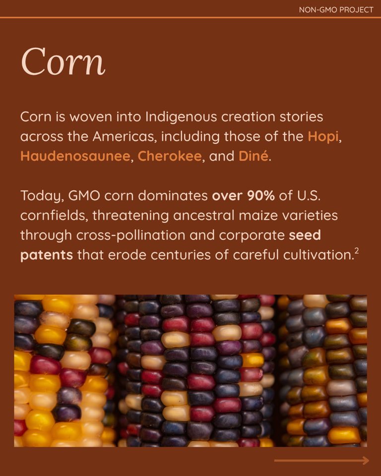 Non-GMO Project - Non-GMO Project added a new photo.
