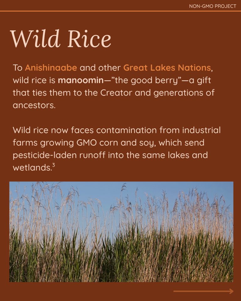 Non-GMO Project - Non-GMO Project added a new photo.