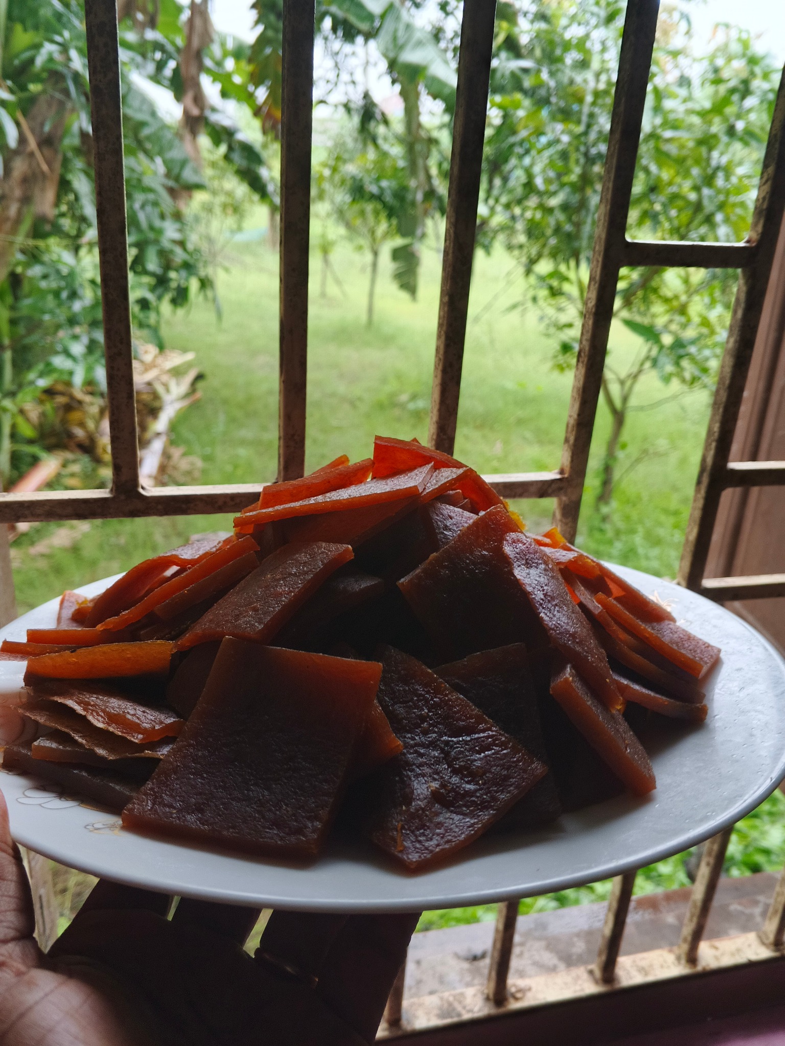 Ayeshi-আয়েশি