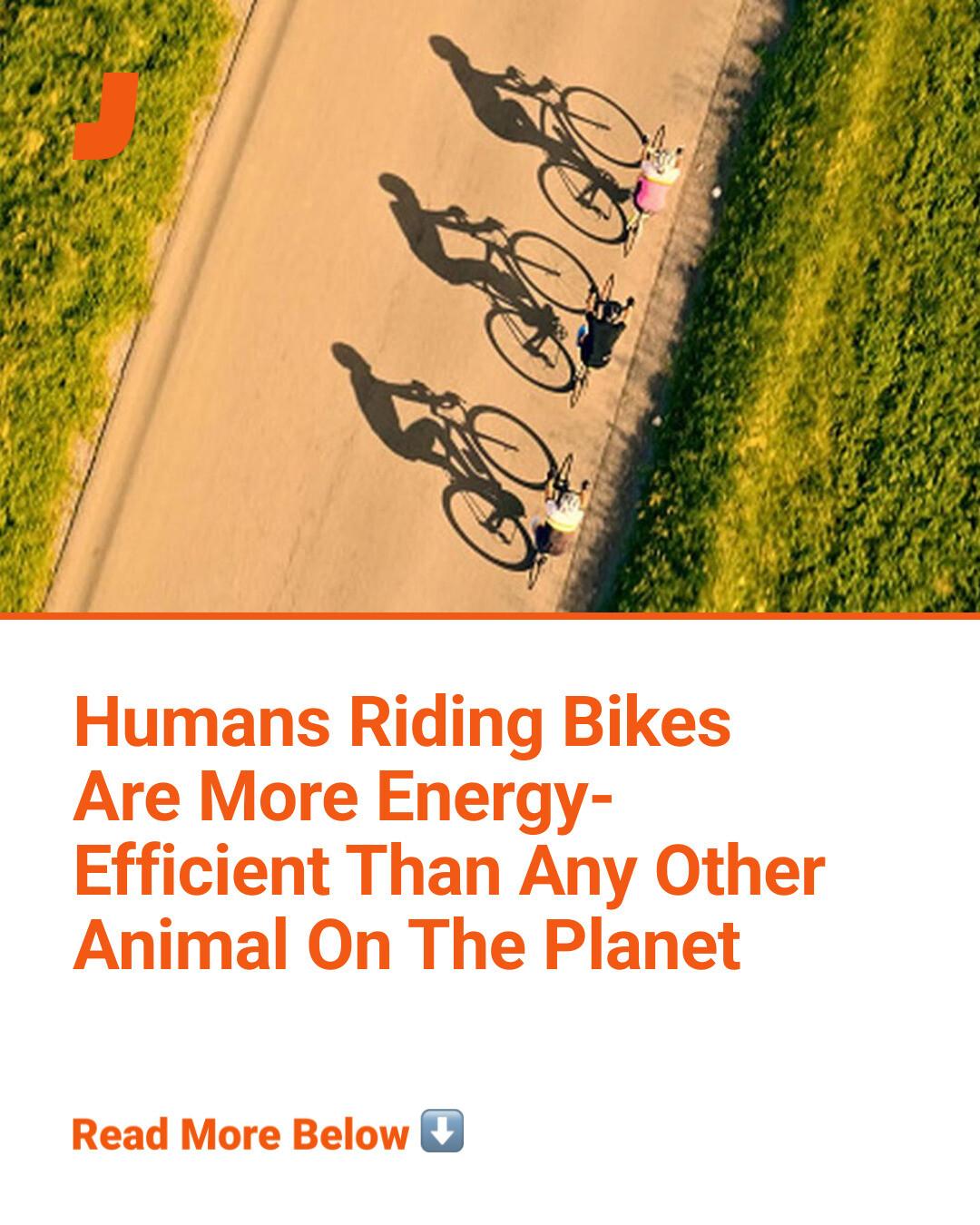 electric bicycle quotes Me and My E-bike, Every ride is like a Little Holiday: Electric-Bike E-Cyclist Bicycling Blank Lined Journal Notebook Diary: Subburaj, Maruthamuthu Books E-bike just like a normal