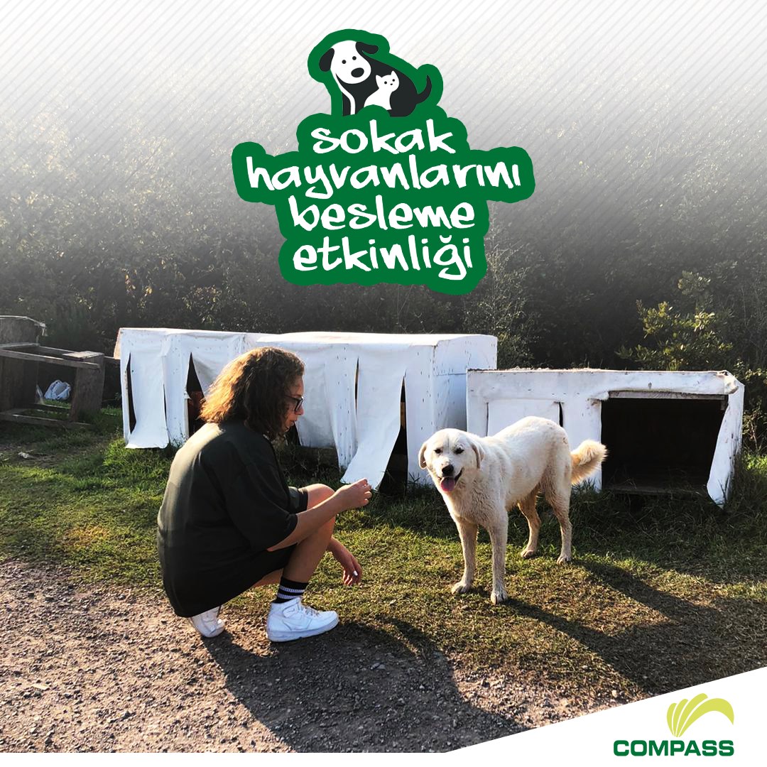 Compass Logistics | Yesilkoy
