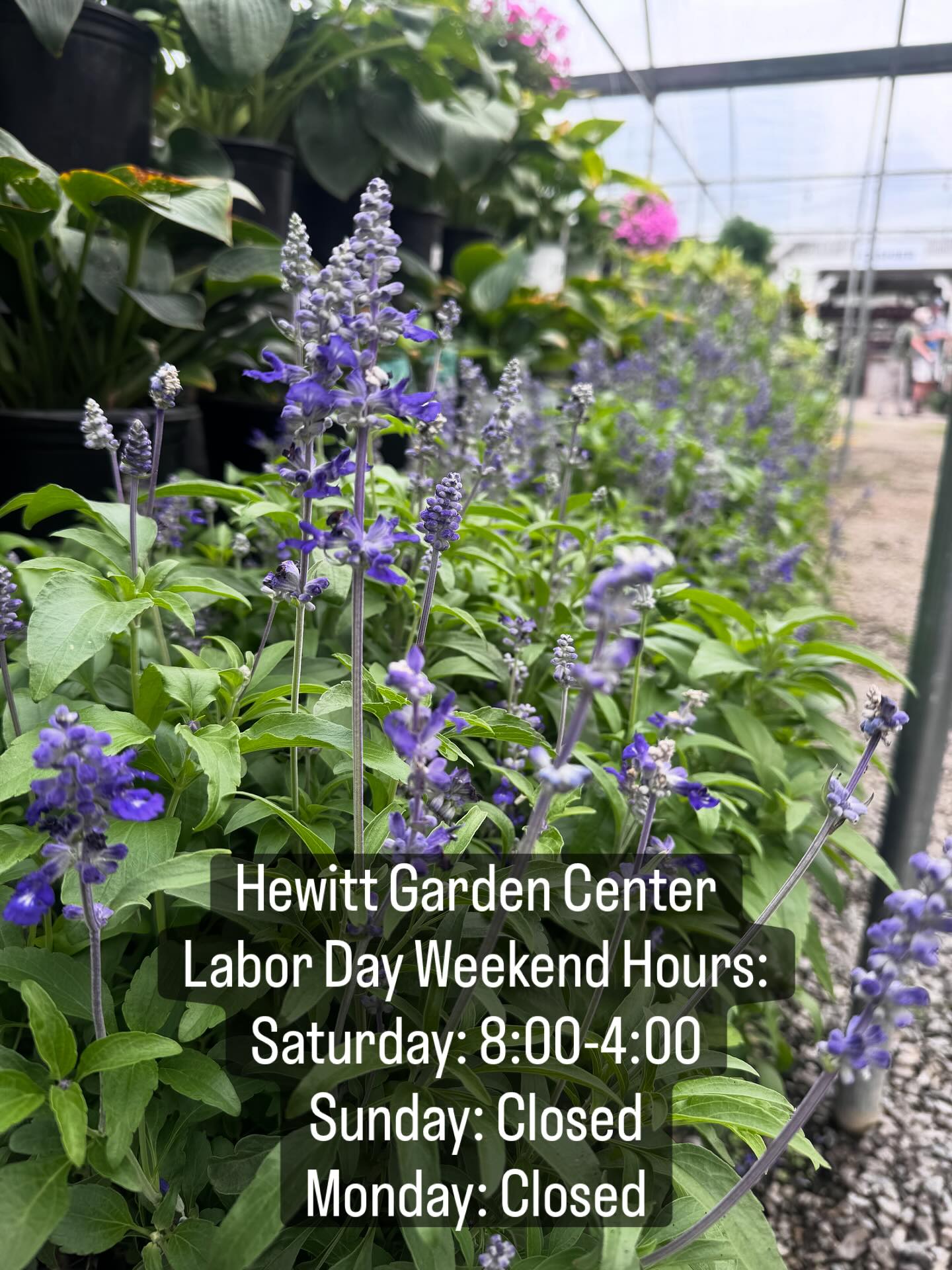 Hewitt Garden and Design Center | Franklin TN