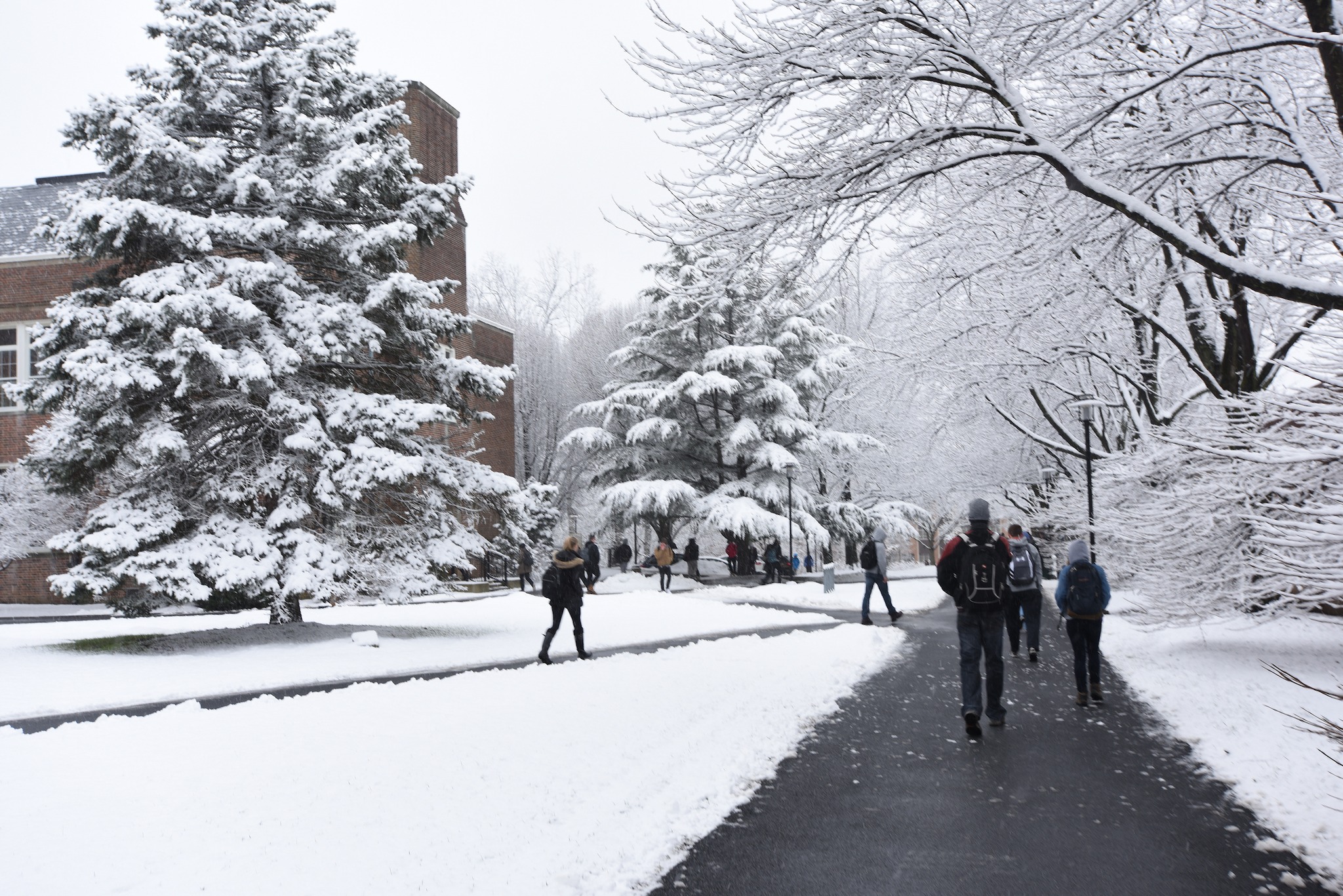 Towson University - Committed to accessibility. TU's Accessibility ...