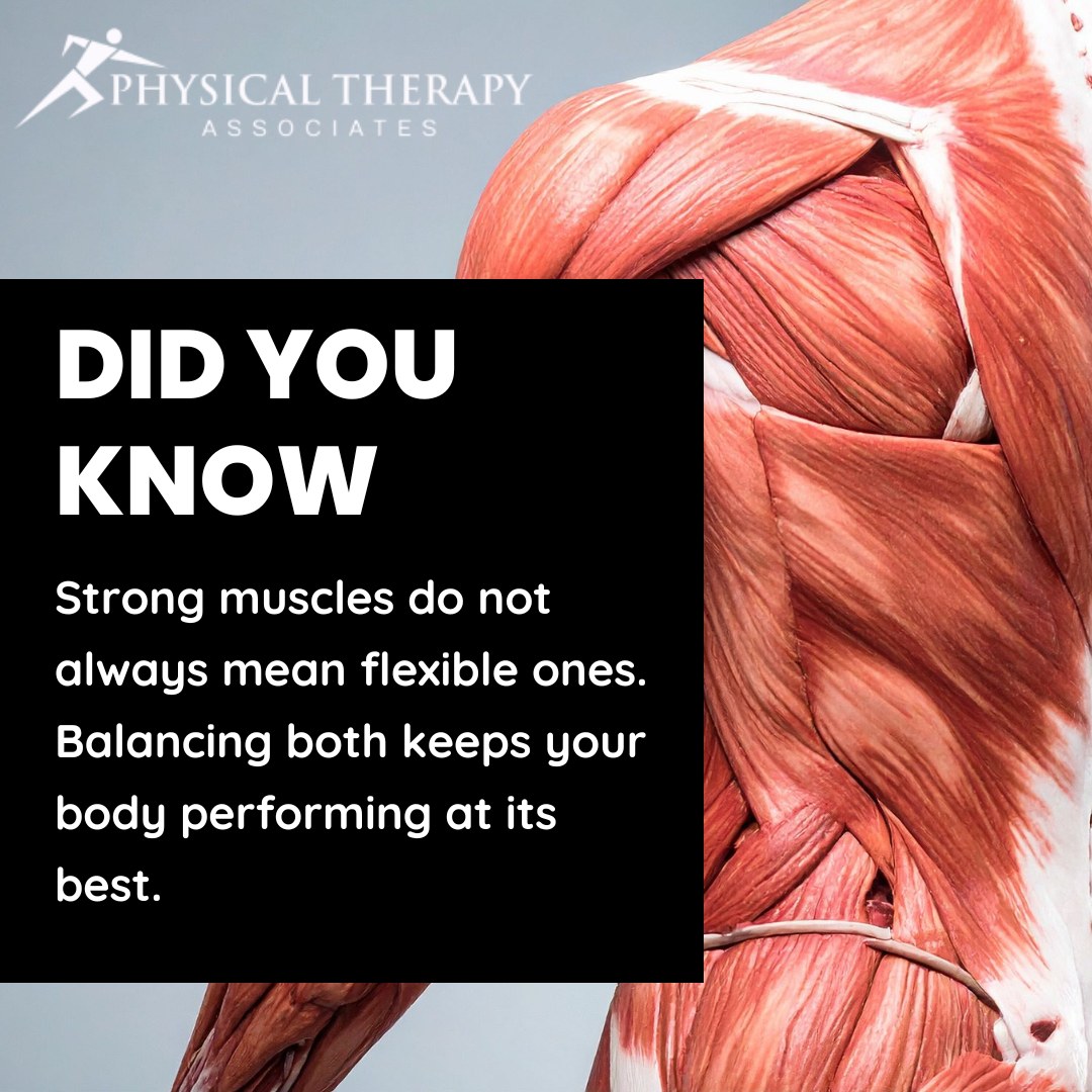 Physical - Strong muscles can still feel tight. True movement health ...