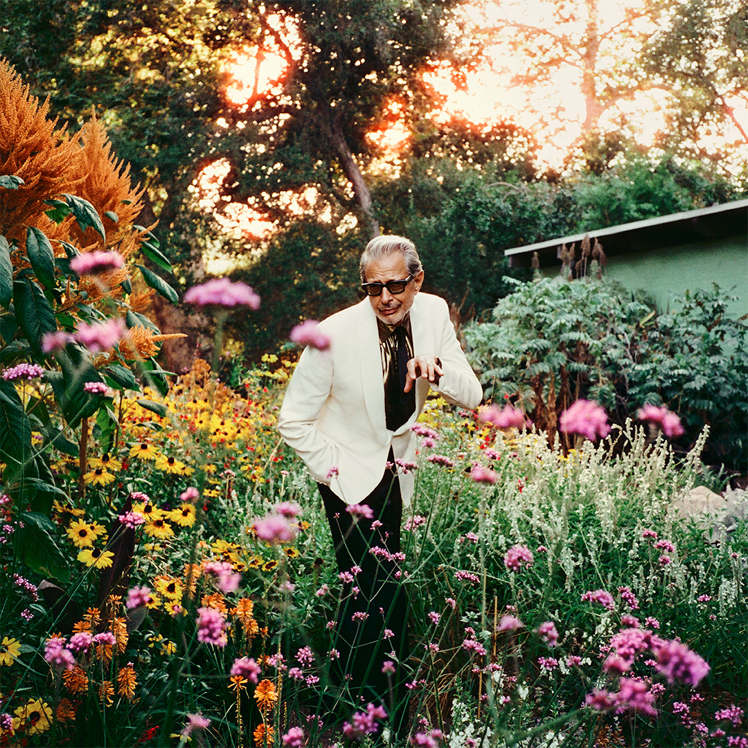 Jeff Goldblum & the Mildred Snitzer Orchestra are set to make