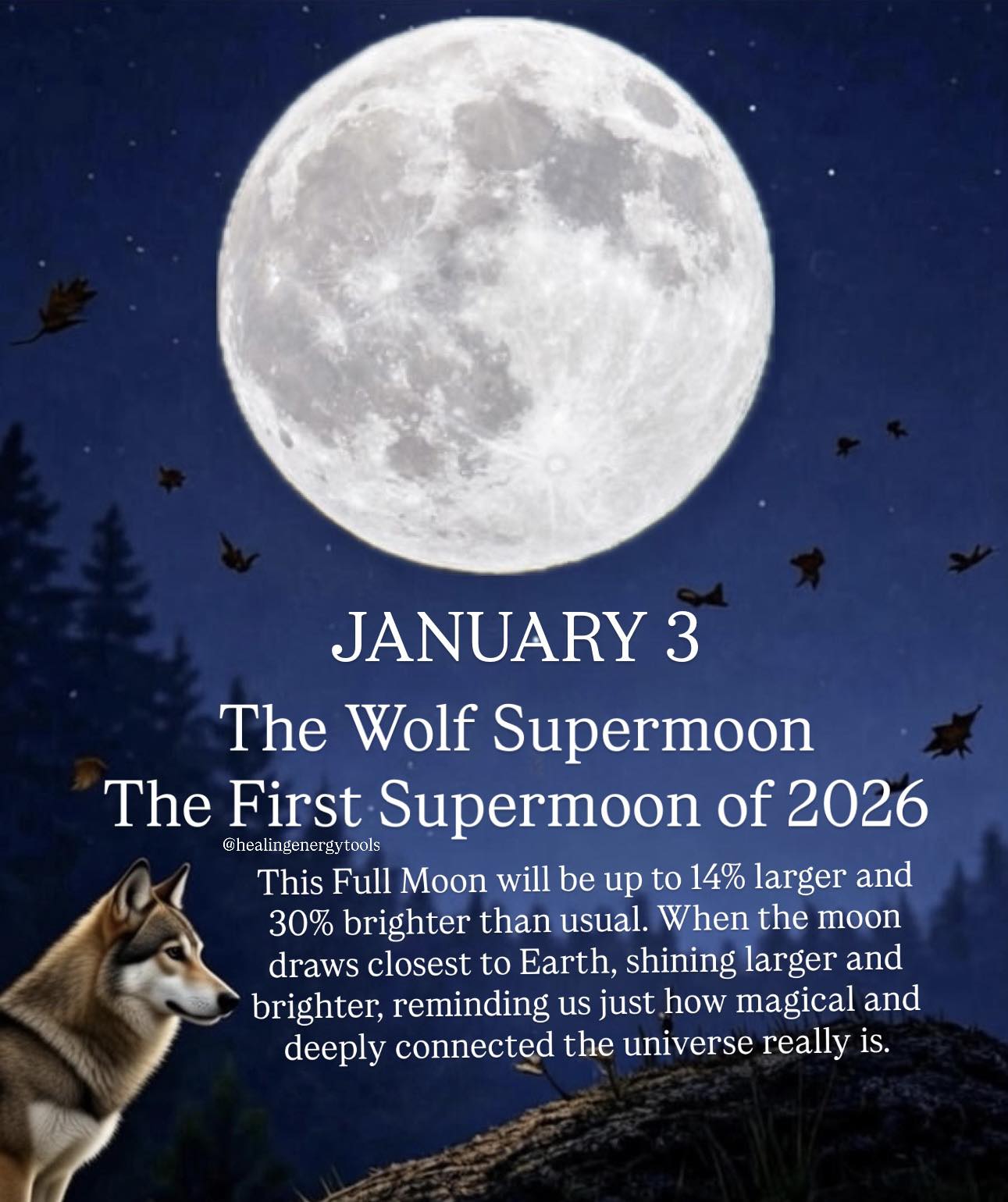 🌕 The Wolf Supermoon lights the sky... - Healing Energy Tools | Facebook