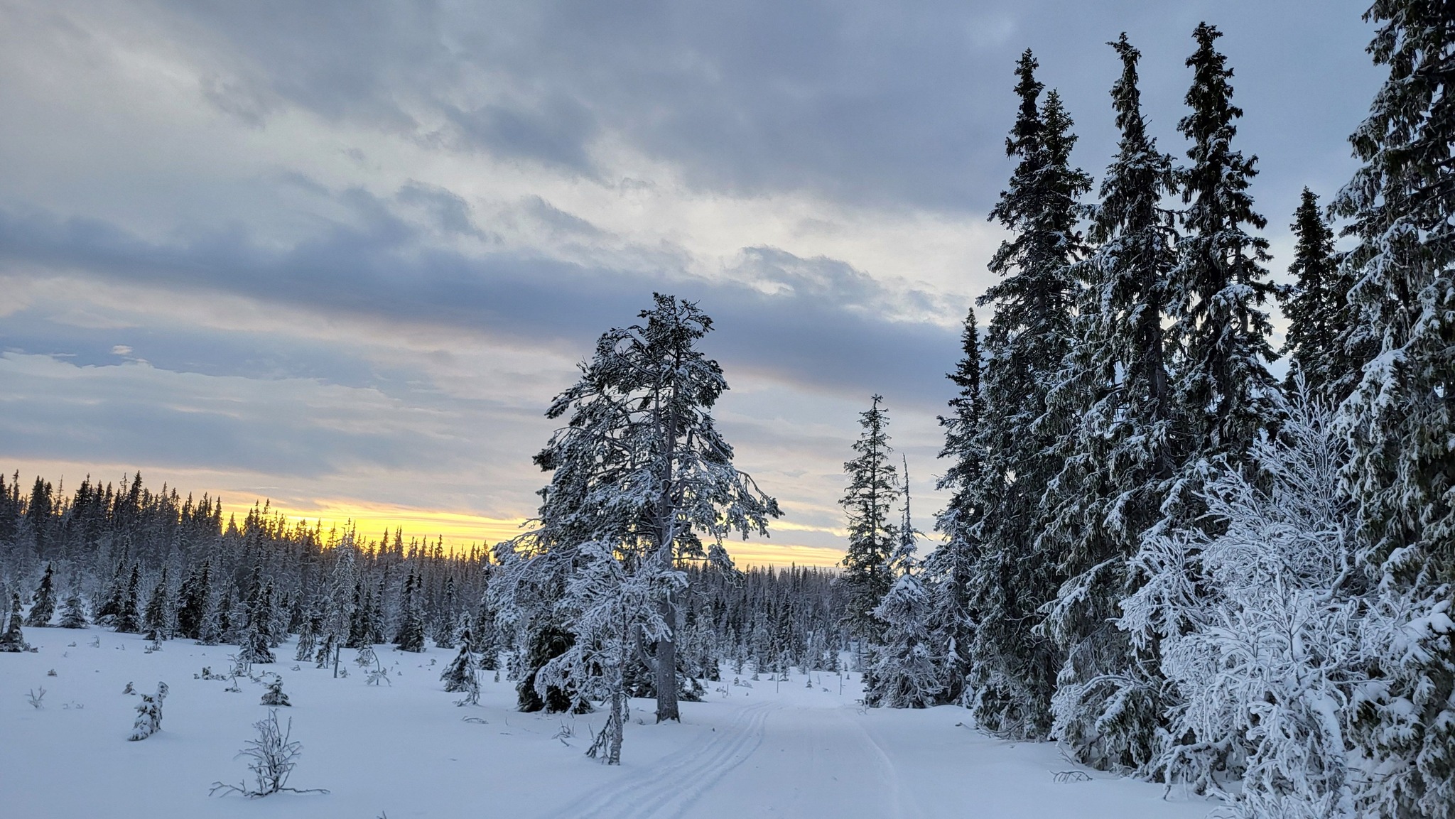 Opplev Tynset - Ripantråkket Tynset har fantastiske muligheter til å ...