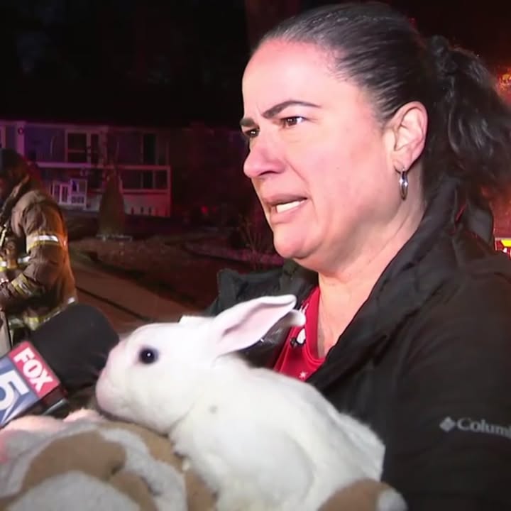 News - A family was saved from a potentially catastrophic house fire by ...