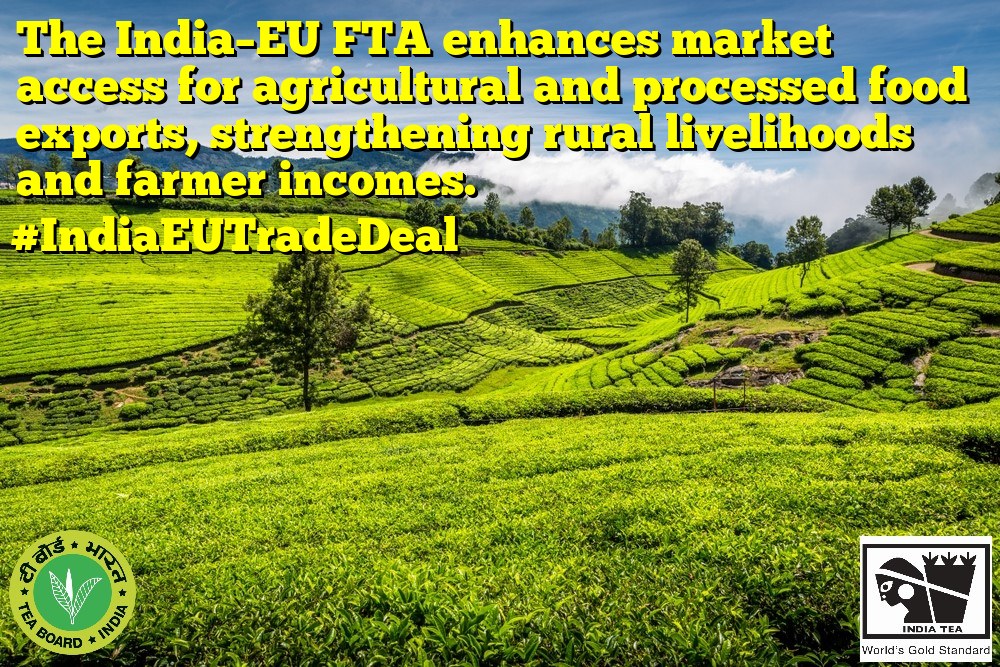 Tea Board India - From Indian farms to European markets.... | Facebook