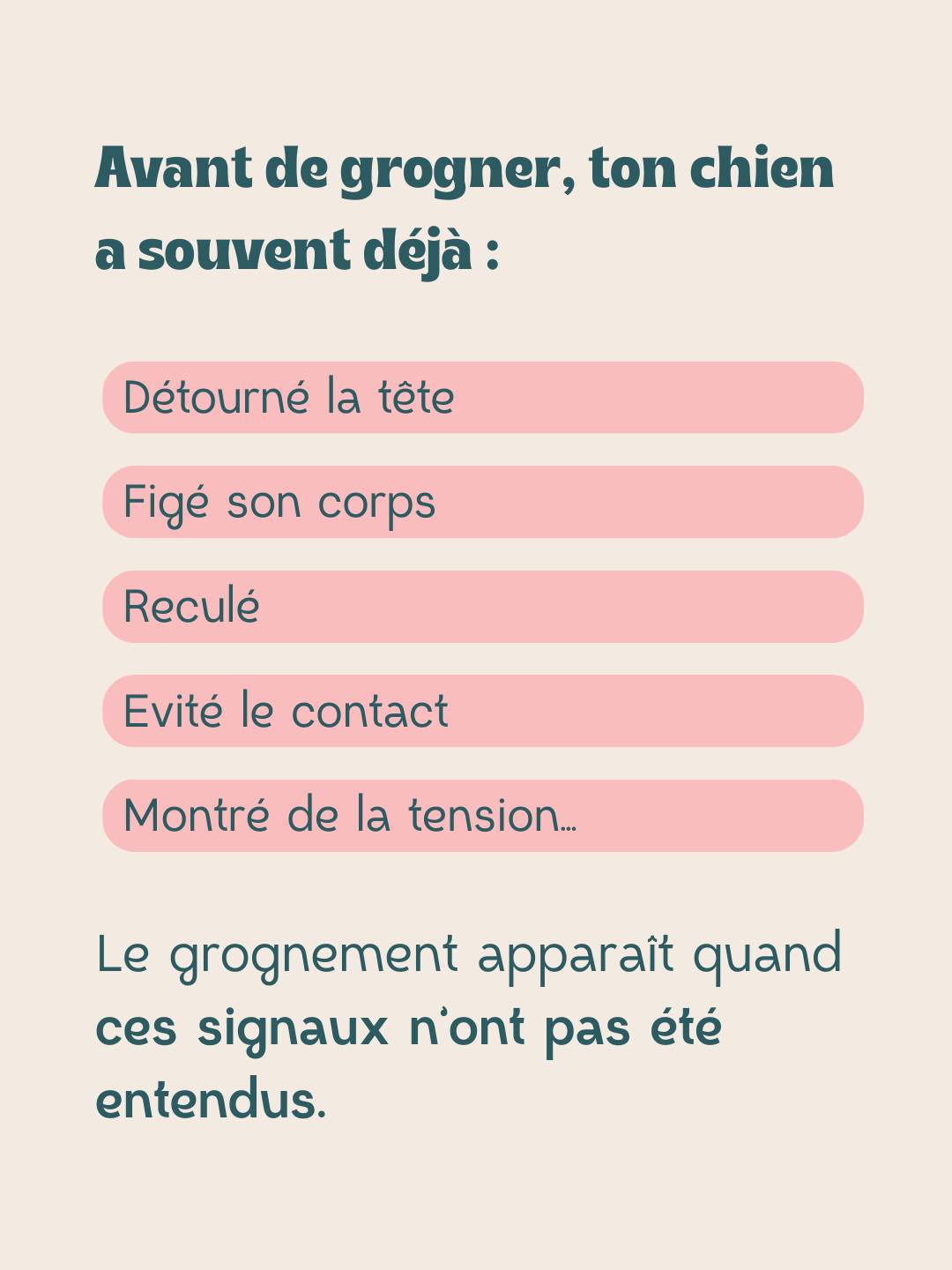 Danse avec ton chien - Méthodes positives et scientifiques added a new ...