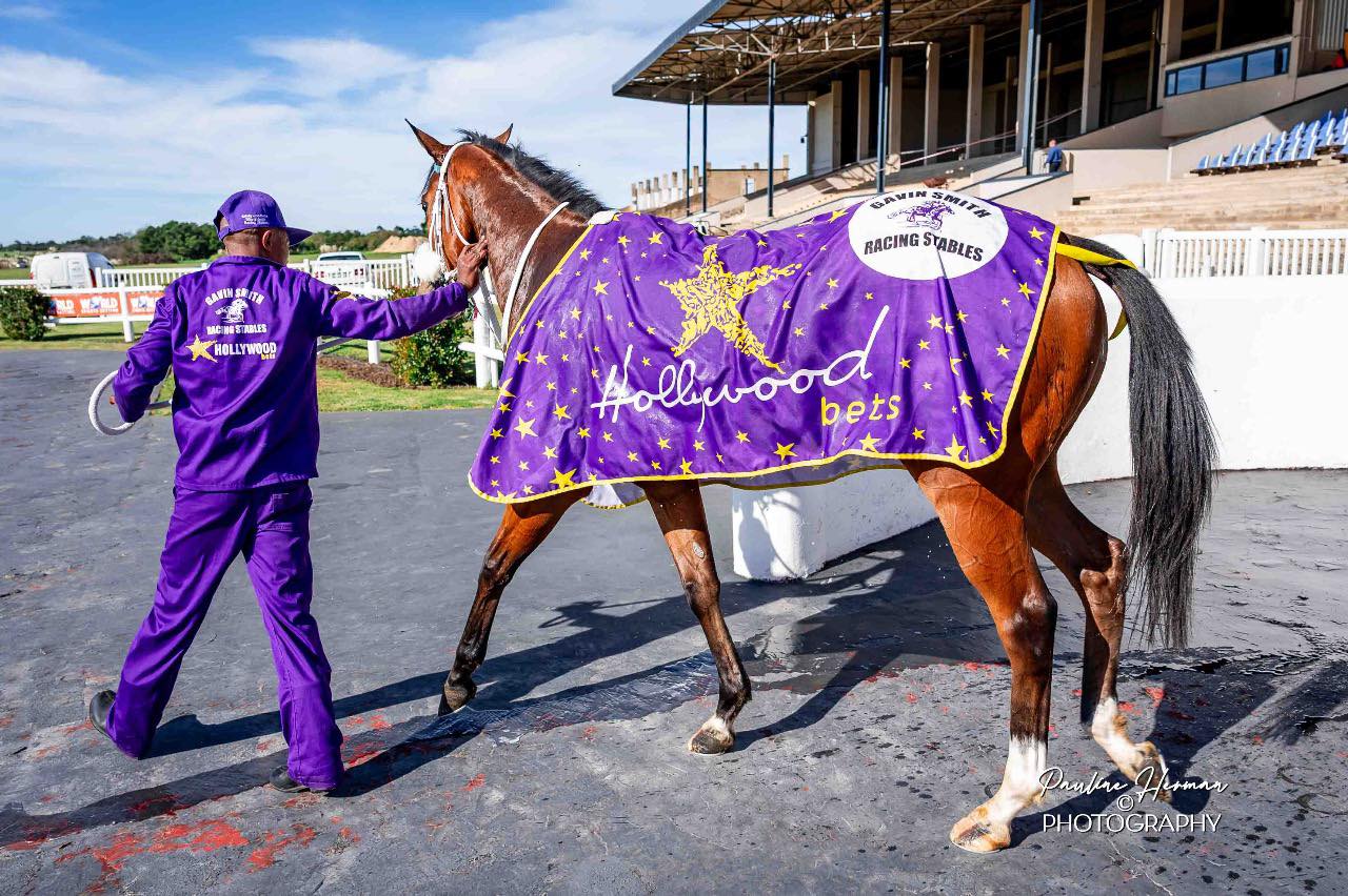 Gavin Smith Racing Stables... - Gavin Smith Racing Stables