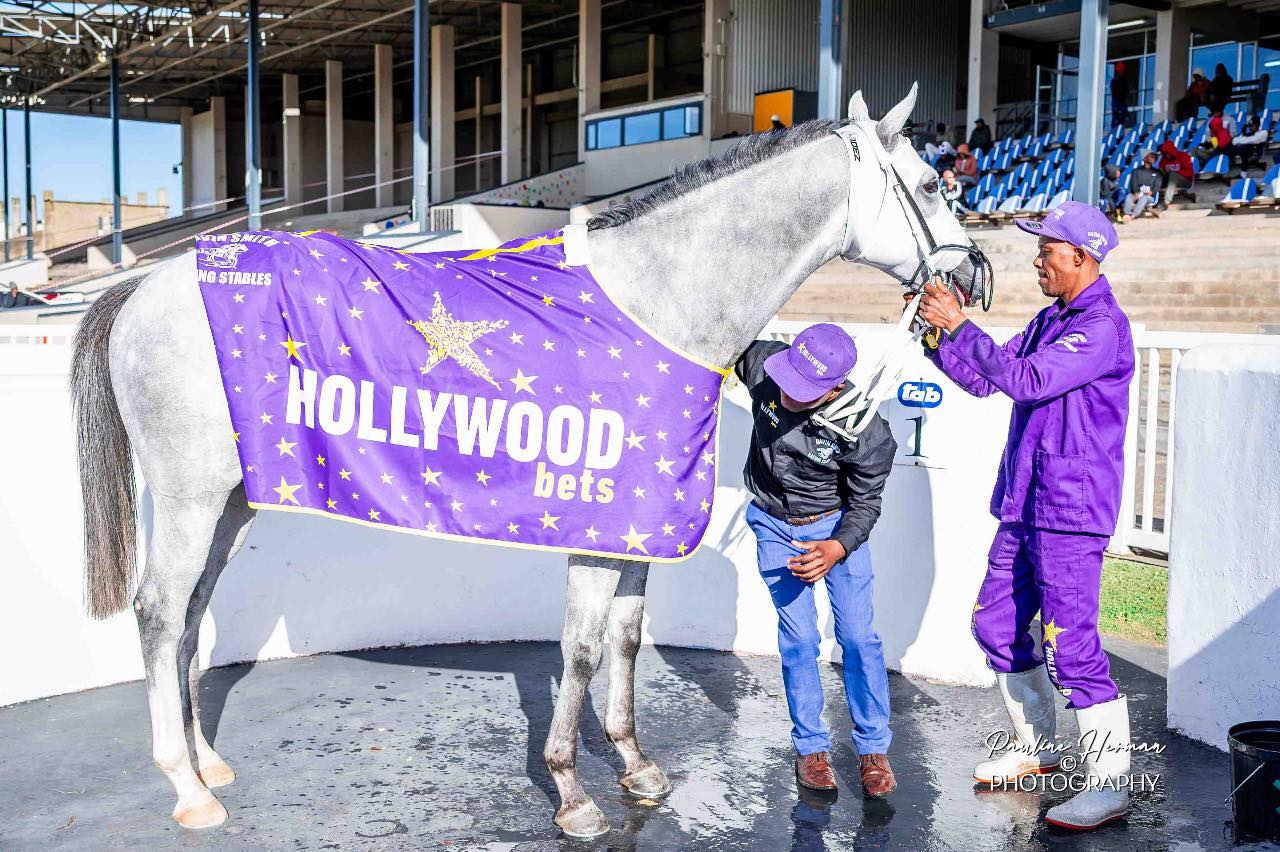 Gavin Smith Racing Stables... - Gavin Smith Racing Stables