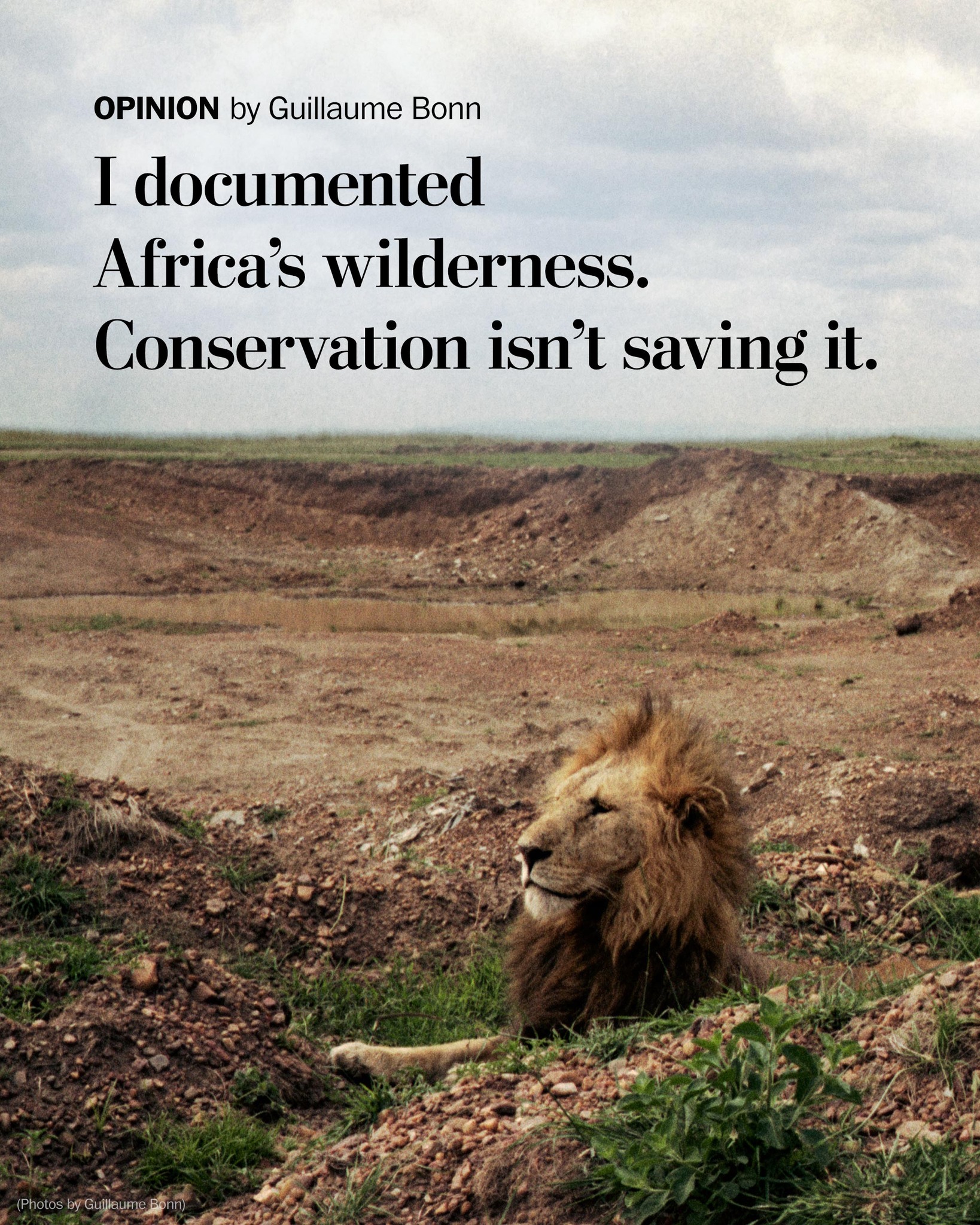 Not long ago, humans needed protection from wildlife. Today 