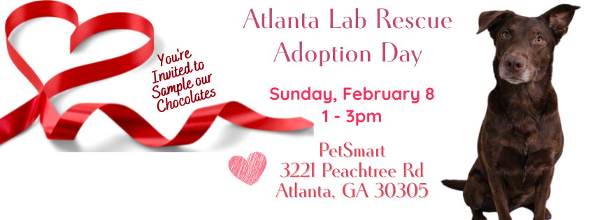 Atlanta Lab Rescue updated their... - Atlanta Lab Rescue