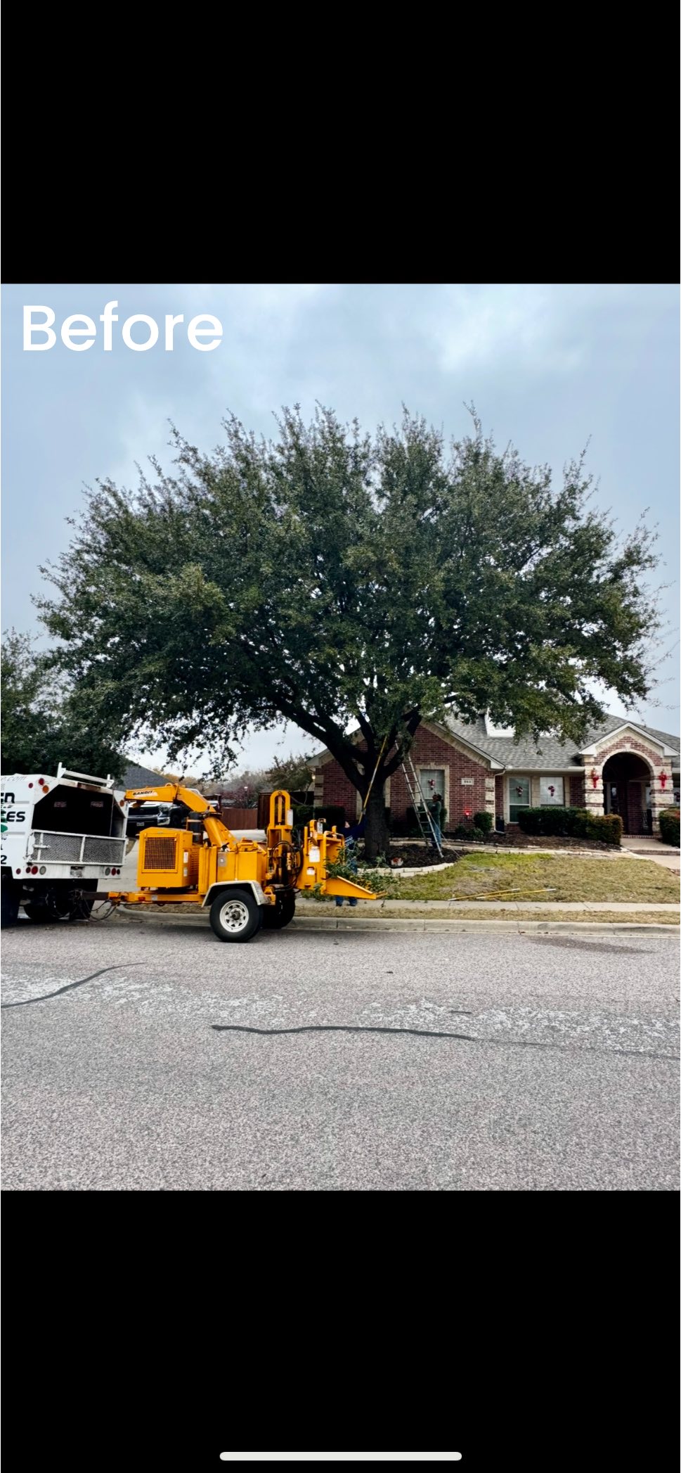 Advanced Tree Services | Burleson TX