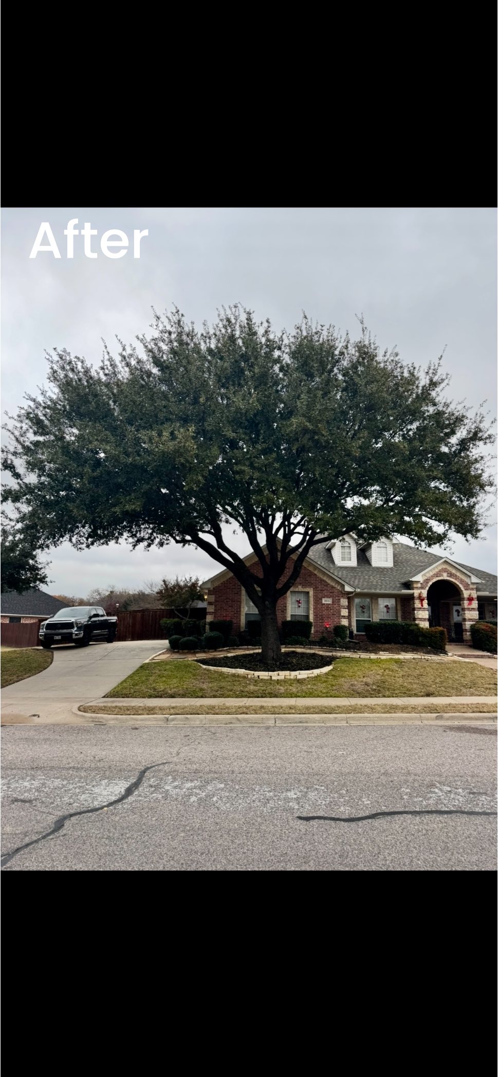 Advanced Tree Services | Burleson TX