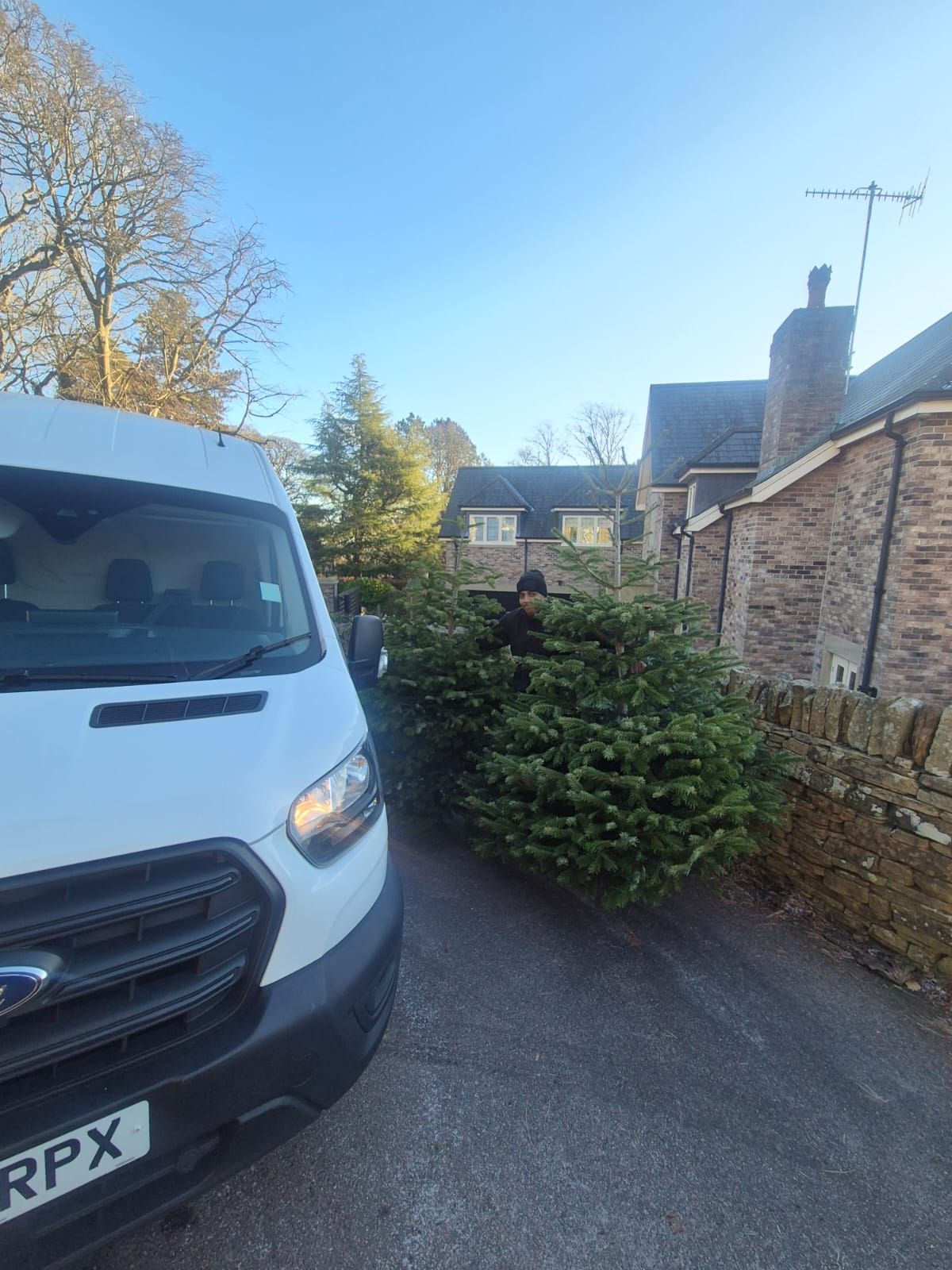 Christmas tree collection for the Sheffield Children's Hospital Charity ...