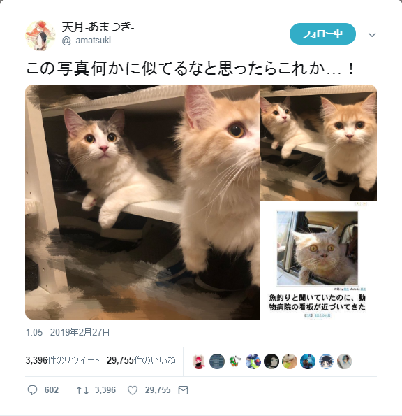 天月 あまつき (@amatsuki.nico.036) • Facebook