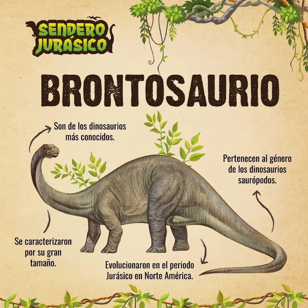 ¿Conoces al Brontosaurio? Aquí te... - Sendero Jurásico