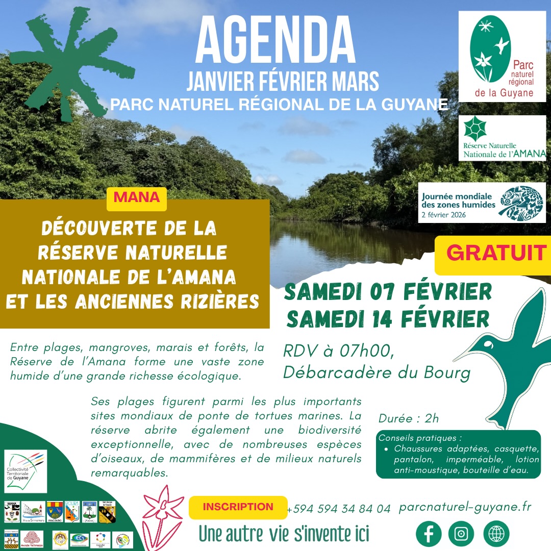 Parc naturel régional de la Guyane | Cayenne French Guiana