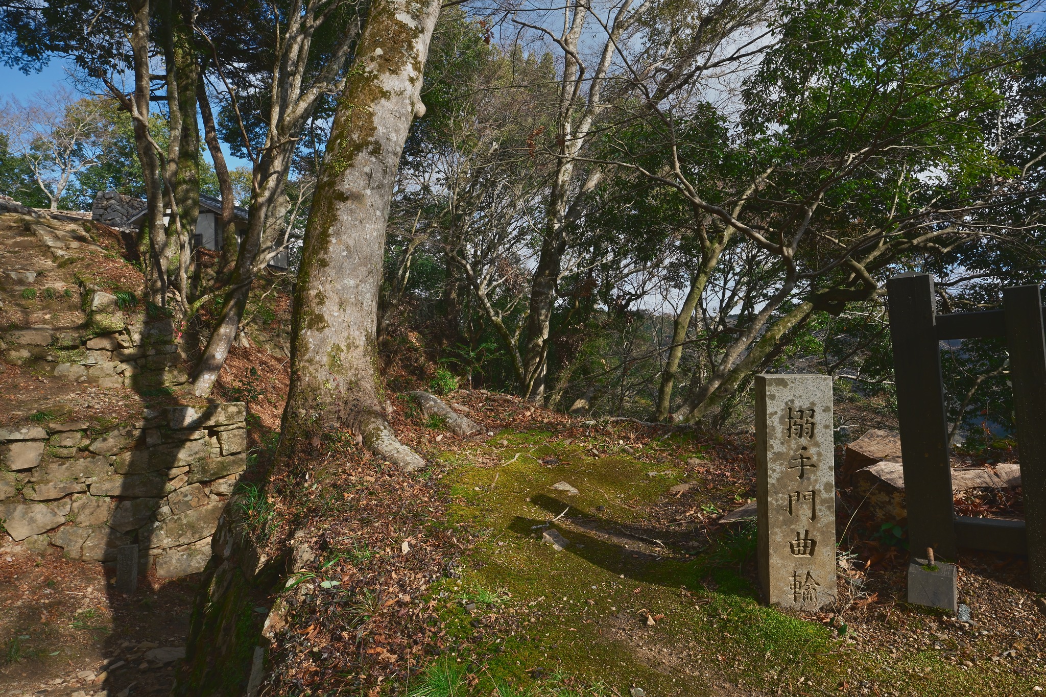 旅日攻城誌 - 【薬医門】 在棟門的鏡柱的後方連結兩條垂直的控柱，能夠令門更加穩固，其形式也就有如兩個冠木門前後並排，並在上方蓋上屋根。這個把 ...