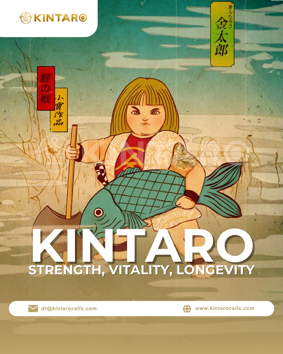 Kintaro - 