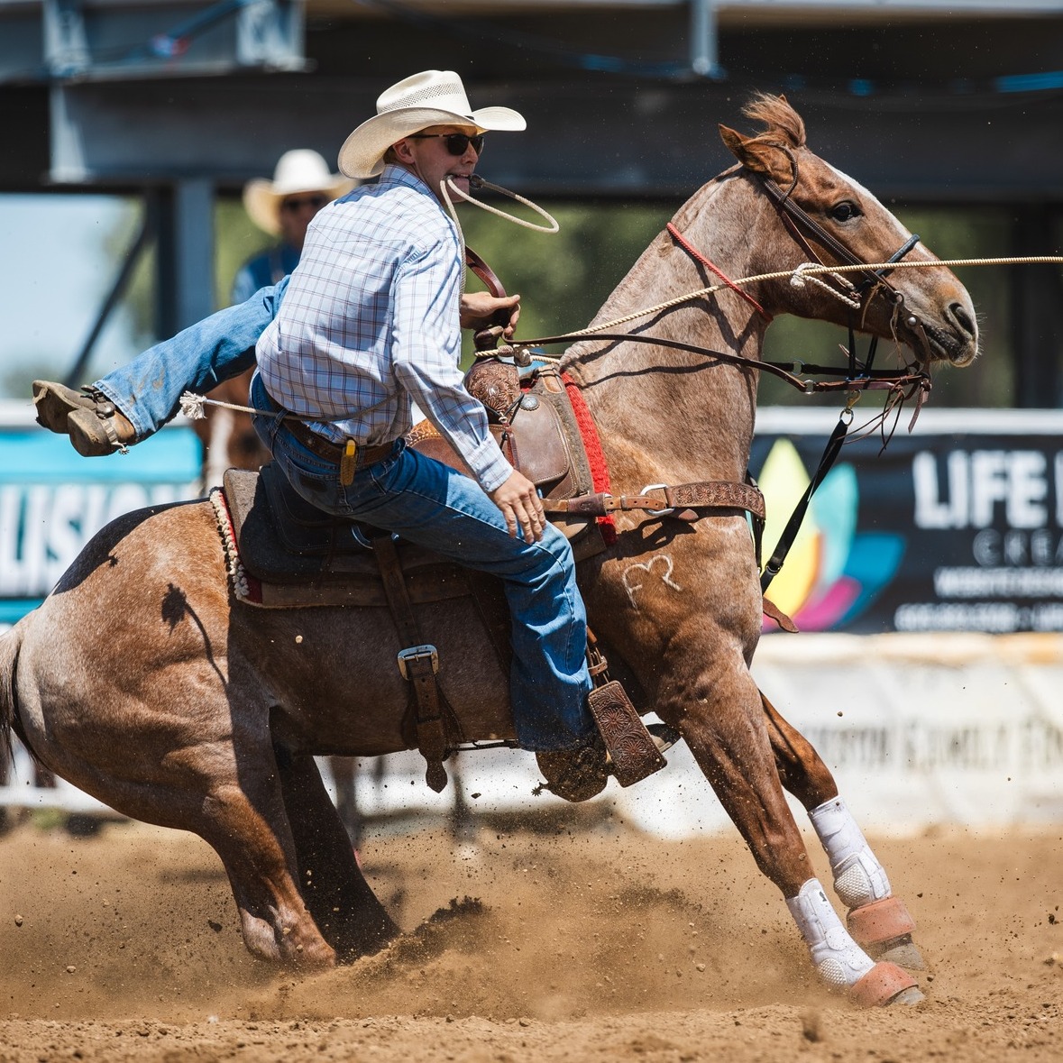 Black - TIL: Piggin’ String Origins 🐖 Before it was a rodeo tool, it ...