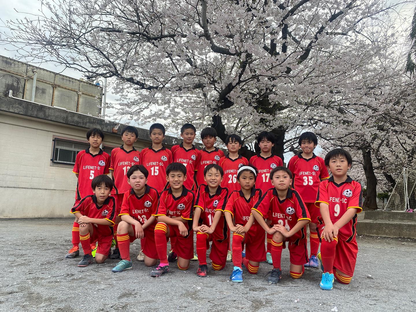 ライフ ネット スポーツ クラブ