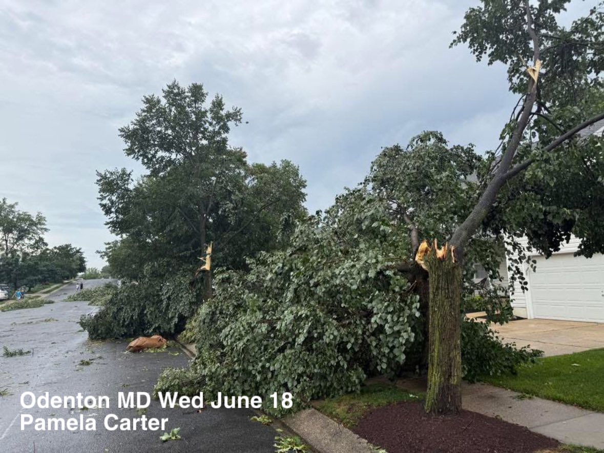 📷 A variety of severe storm photos today across Central MD. 🙏 Credit to  all that shared burned in each image. Thank you for sharing… if you have  more please add here: