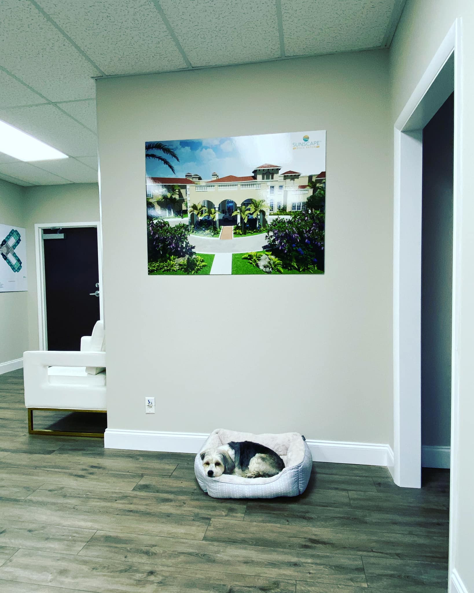 Sunscape Boca Raton - Fur babies are welcomed at Sunscape Boca Raton ...