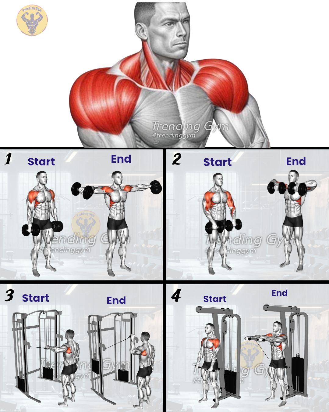 Trending - 4 Best Shoulders Deltoid Exercises - Shoulder Day ① ...