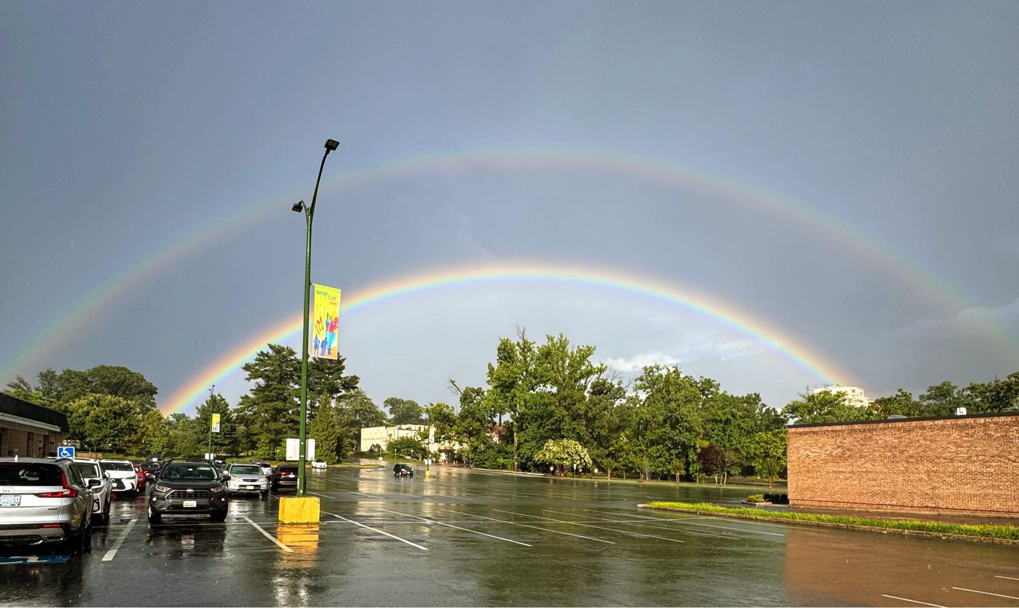 🌈 The COLORS and LIGHT FADE/SHIFT 🏆 Makes this the most