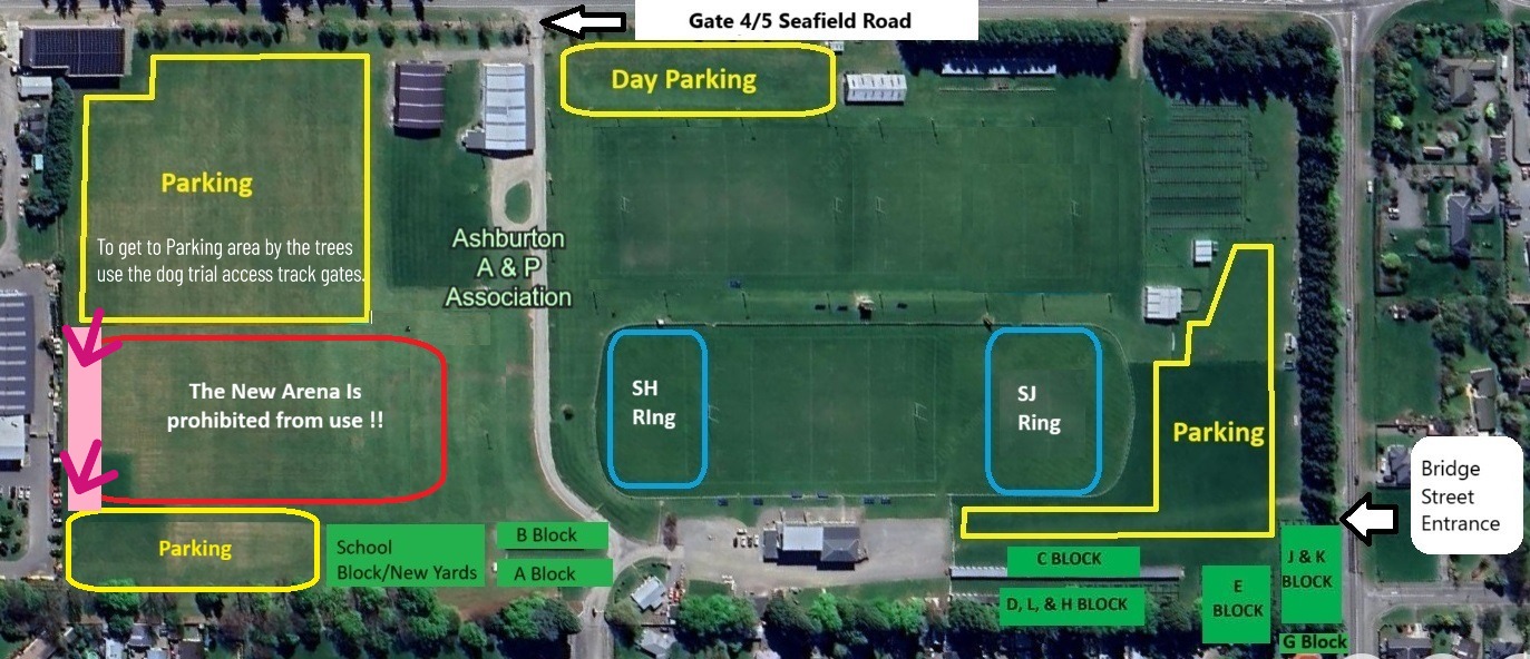 Ashburton ESNZ... - Ashburton ESNZ Jumping & Showhunter