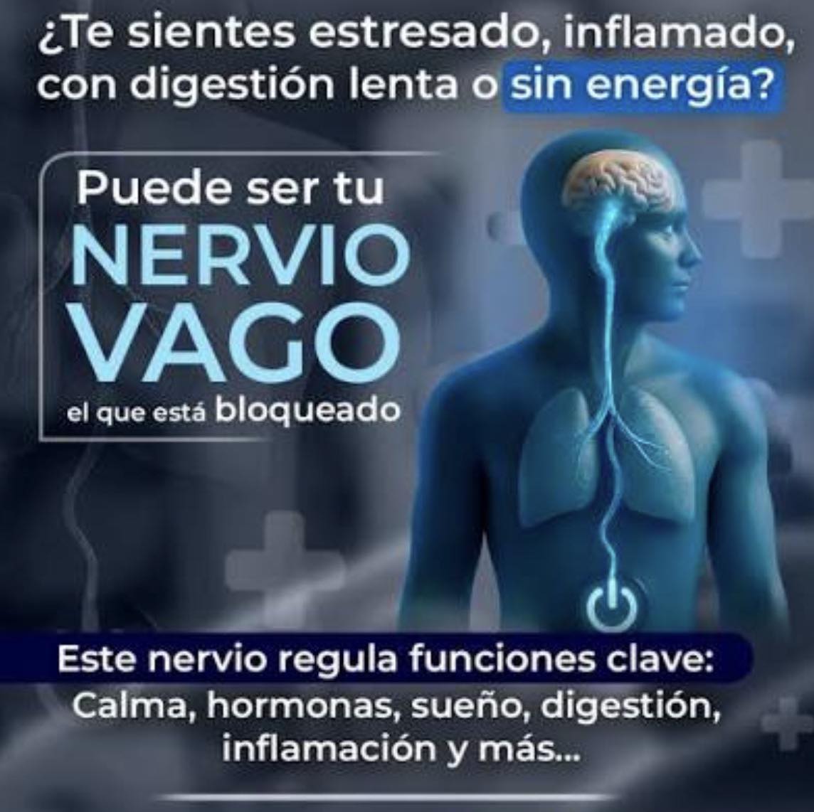 Katty - ANSIEDAD, DEPRESIÓN … SALUD 🙏🏻 El nervio vago es clave en la ...