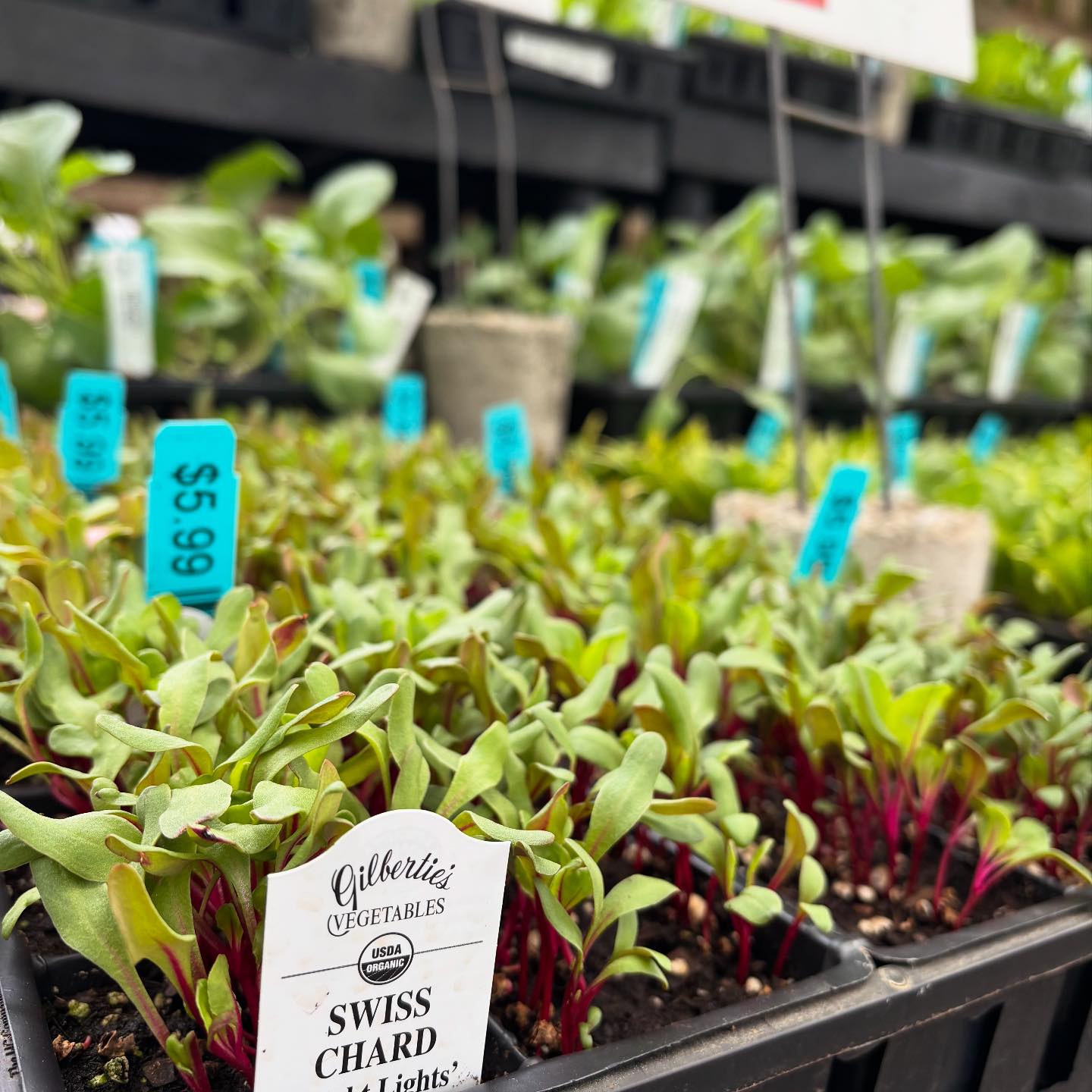 Natureworks Organic... - Natureworks Organic Garden Center